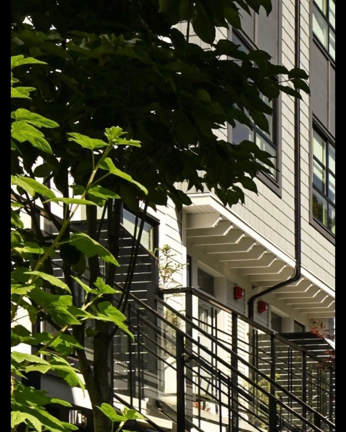 .
PROJECT
.
A continuation of Anthem Properties&rsquo; North Shore development story, Eastwoods is the District&rsquo;s best-kept secret - where architecture fits right in with the West Coast&rsquo;s rugged natural landscape. On offer is the final co