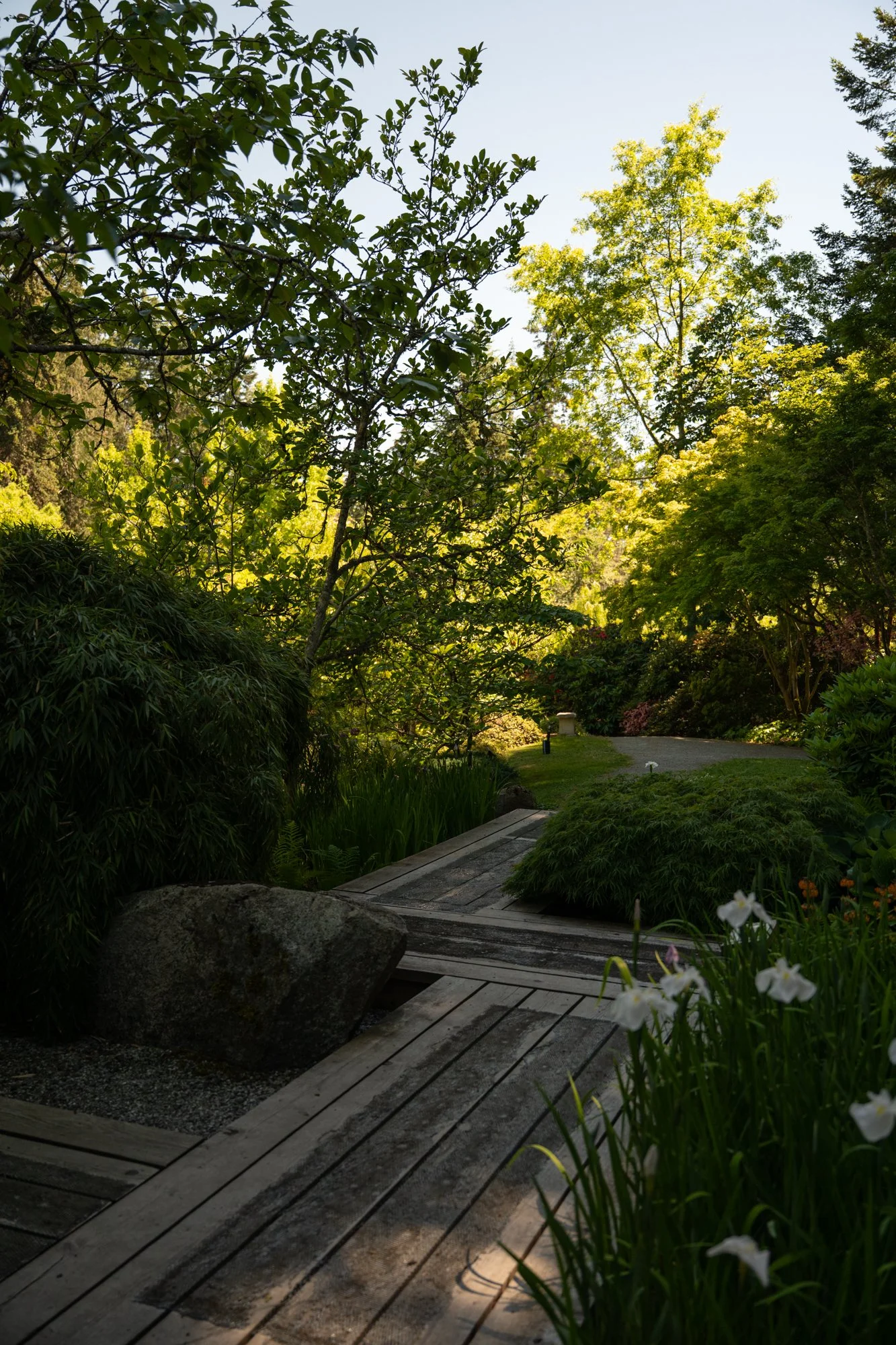 JAPANESE GARDEN