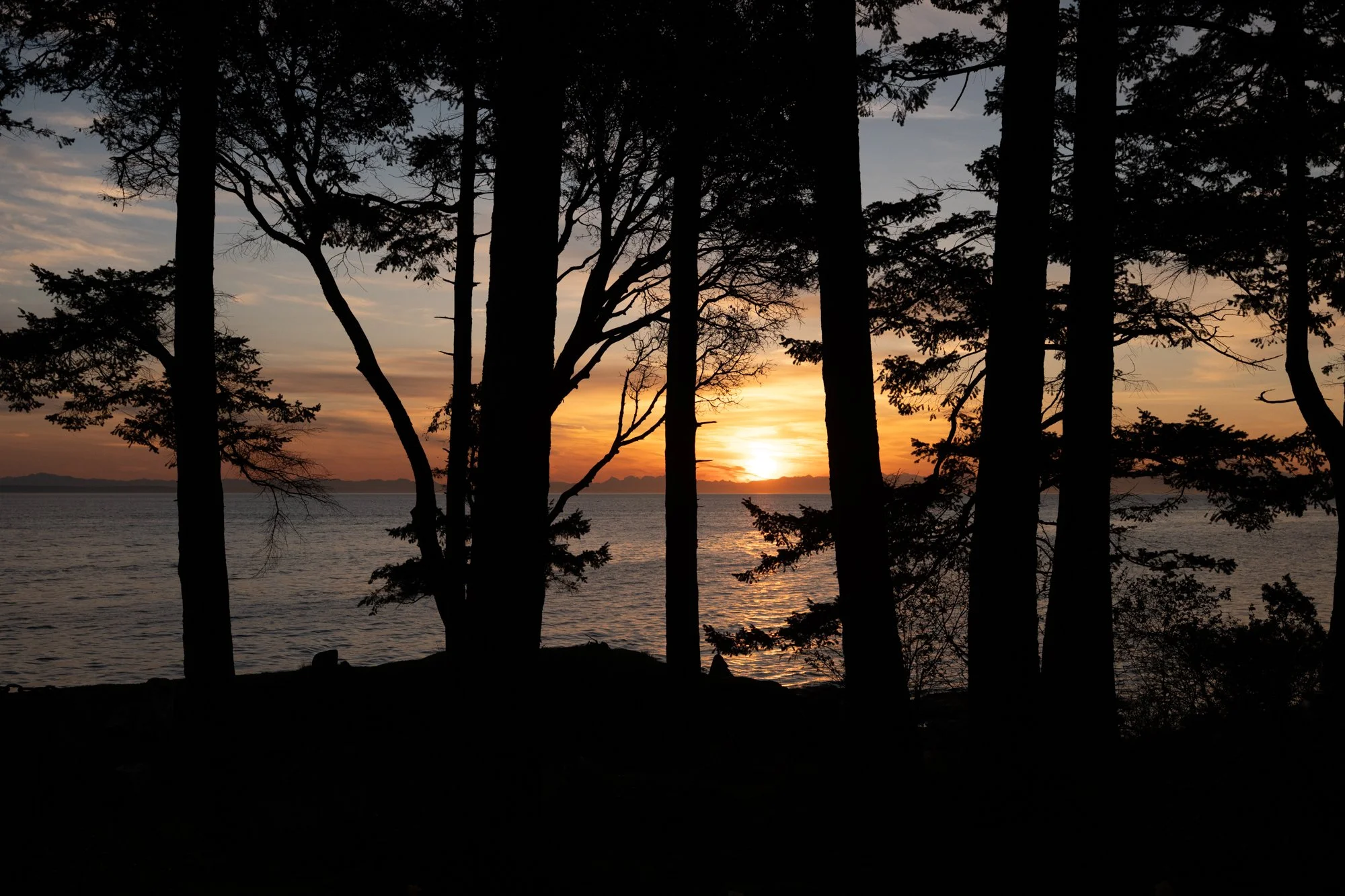 LOOKOUT APRIL WEB-2.jpg