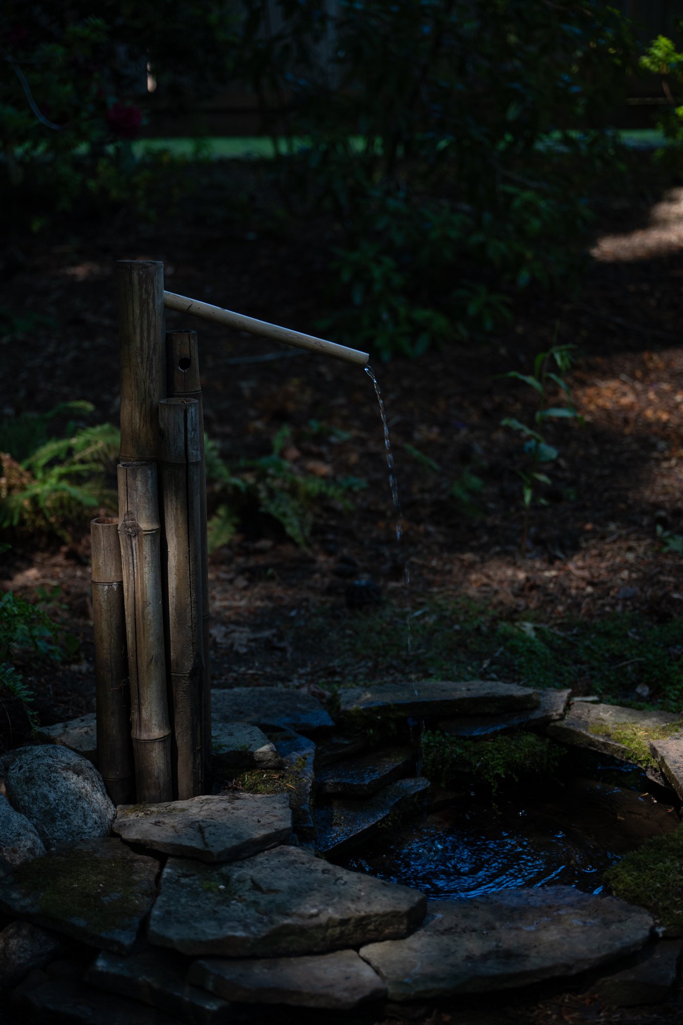 JAPANESE GARDEN