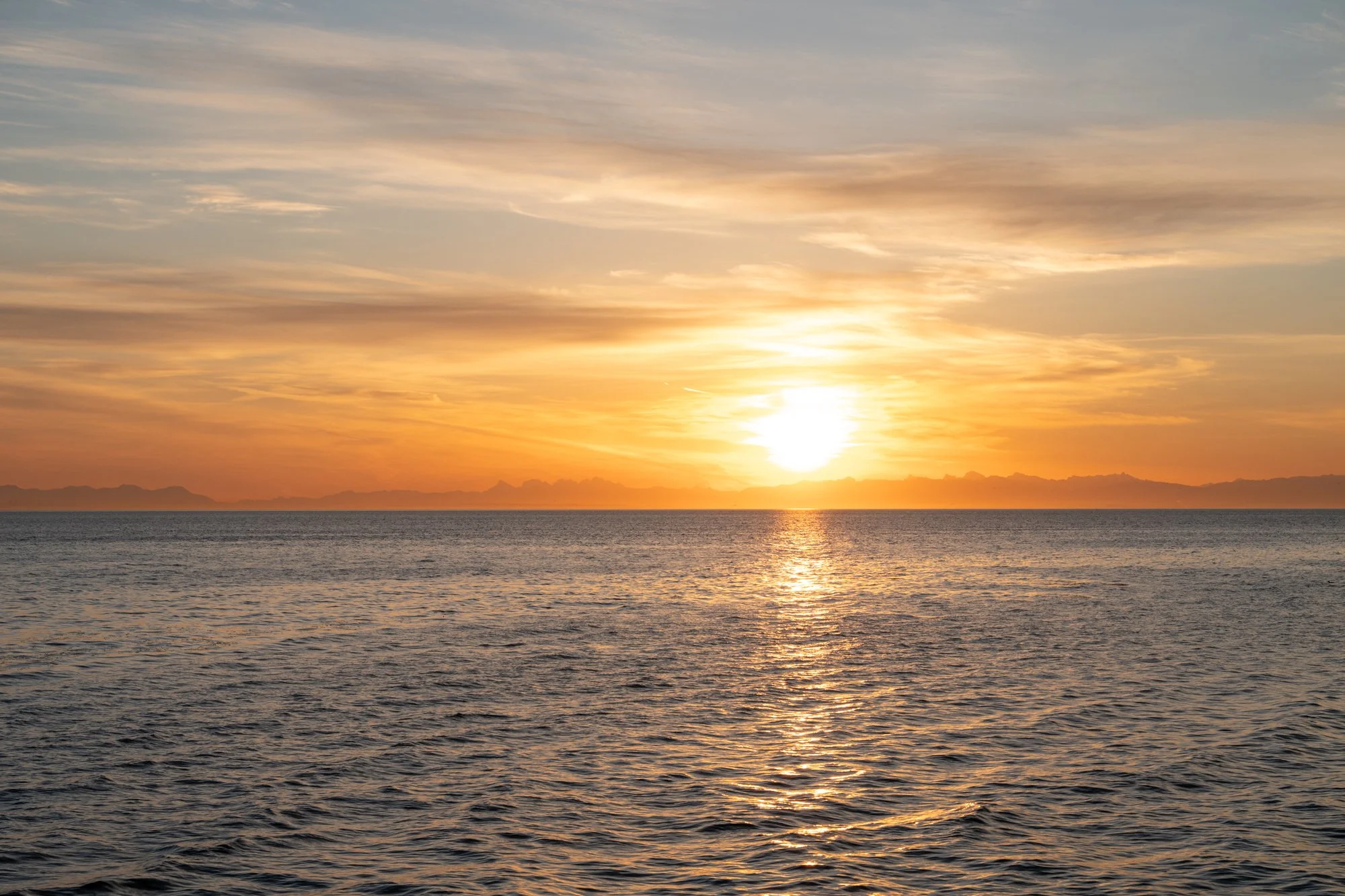 LOOKOUT APRIL WEB-6.jpg