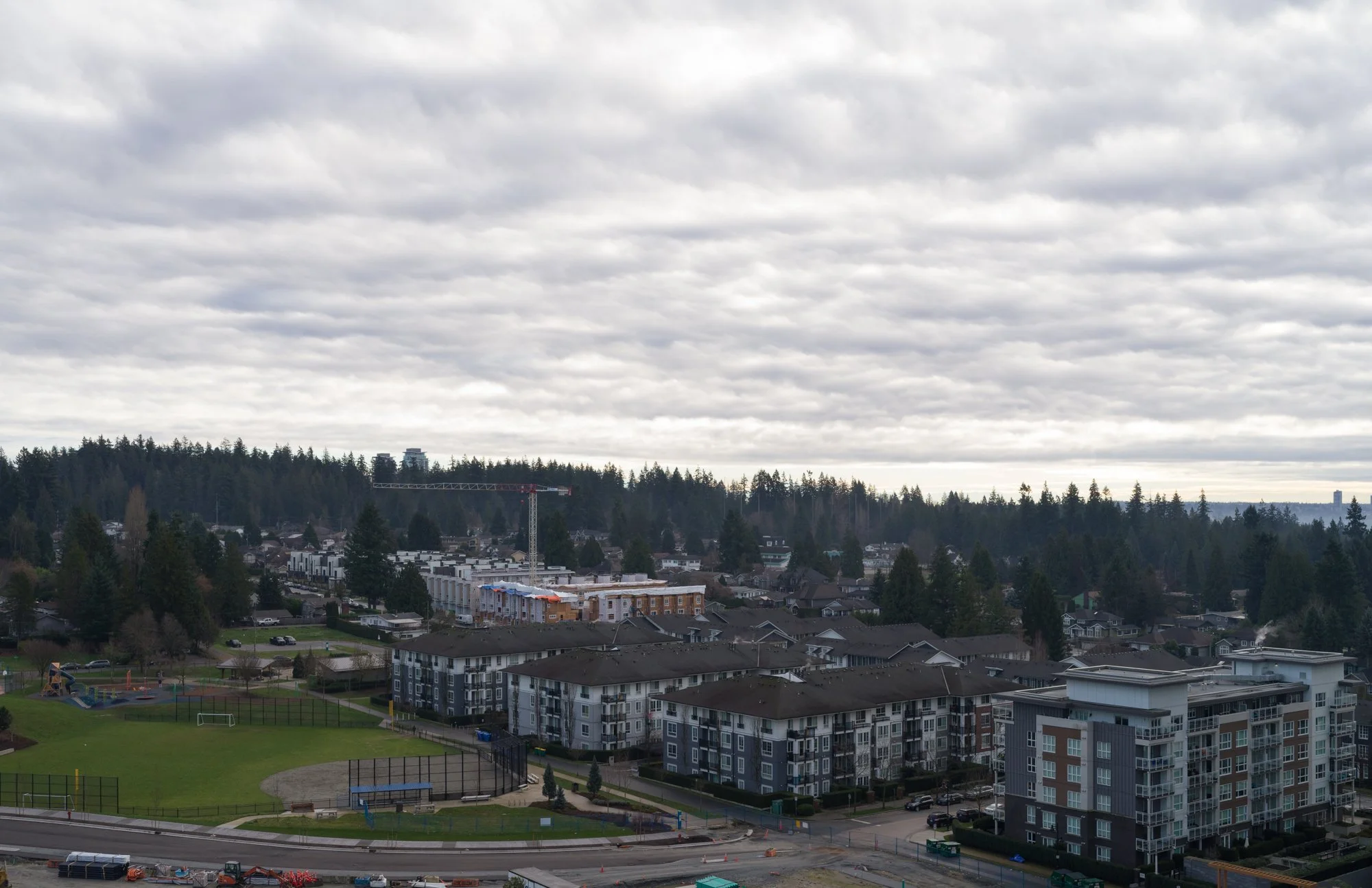 1405 PRECIDIA WEB-7.jpg