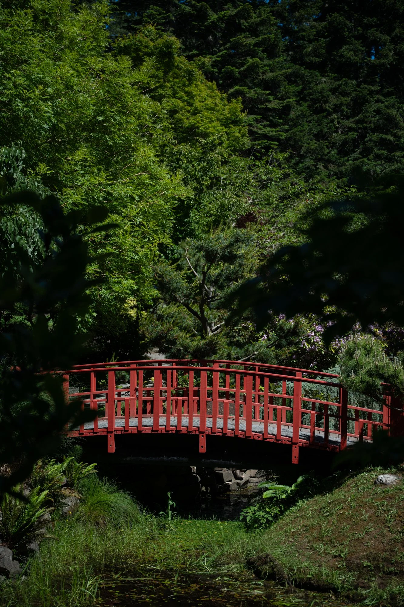 JAPANESE GARDEN