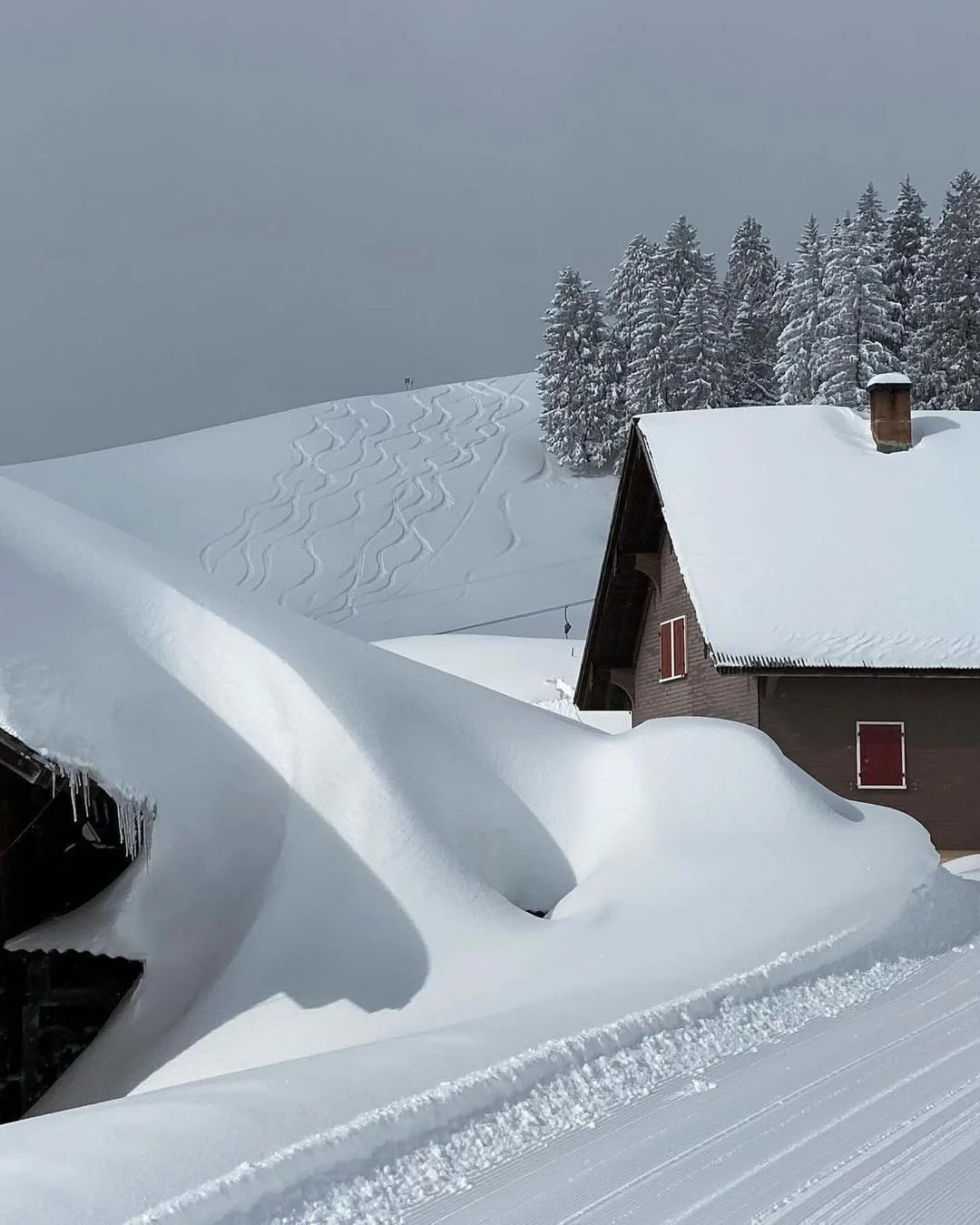 Perfect Ski Situation.jpg