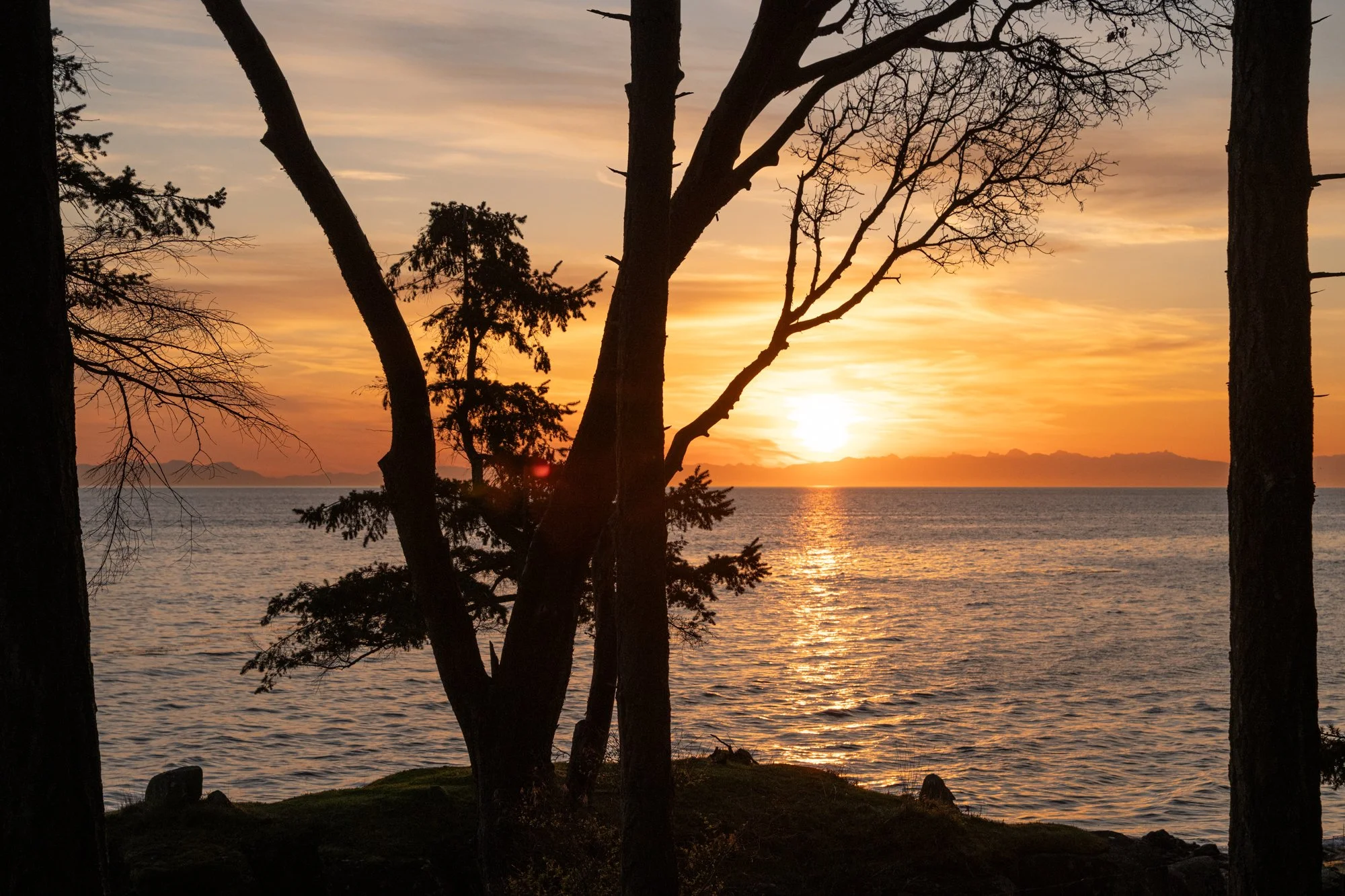 LOOKOUT APRIL WEB-4.jpg