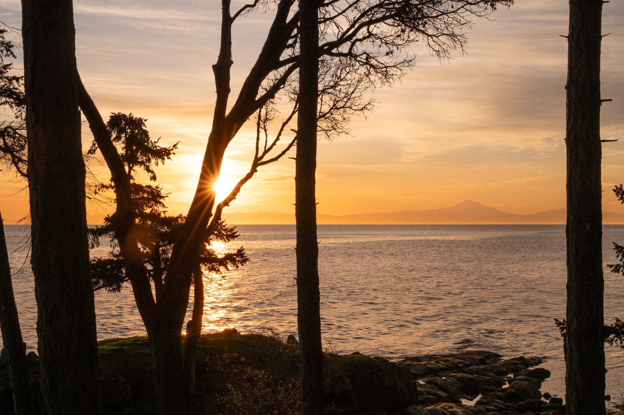 LOOKOUT APRIL WEB-10.jpg