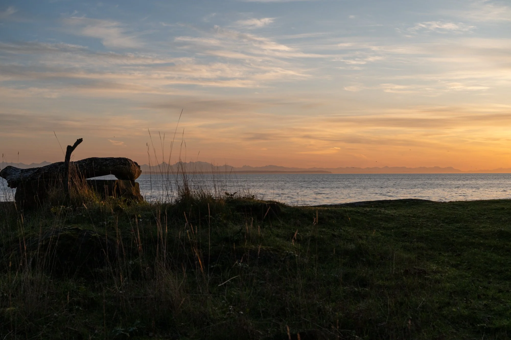 LOOKOUT APRIL WEB-8.jpg