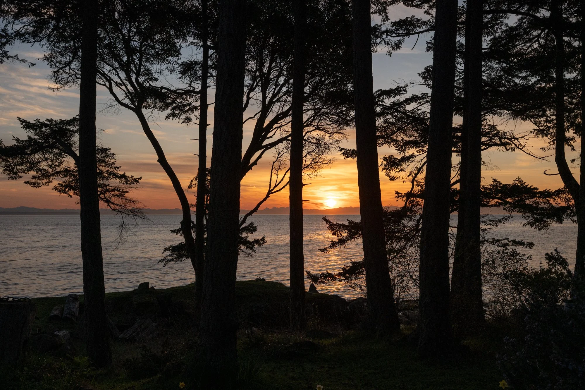 LOOKOUT APRIL WEB.jpg