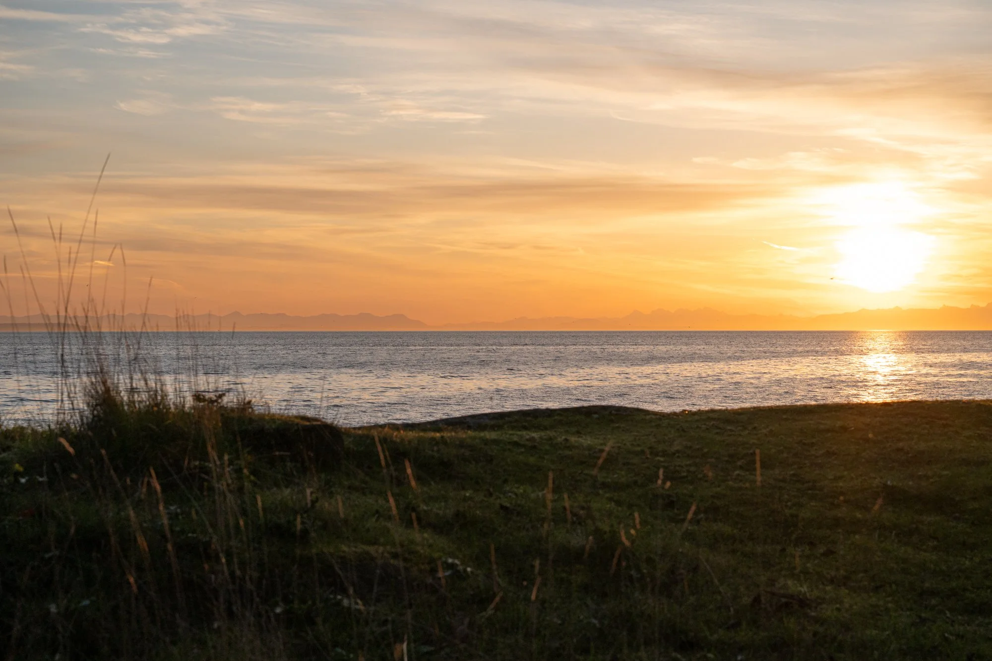 LOOKOUT APRIL WEB-9.jpg