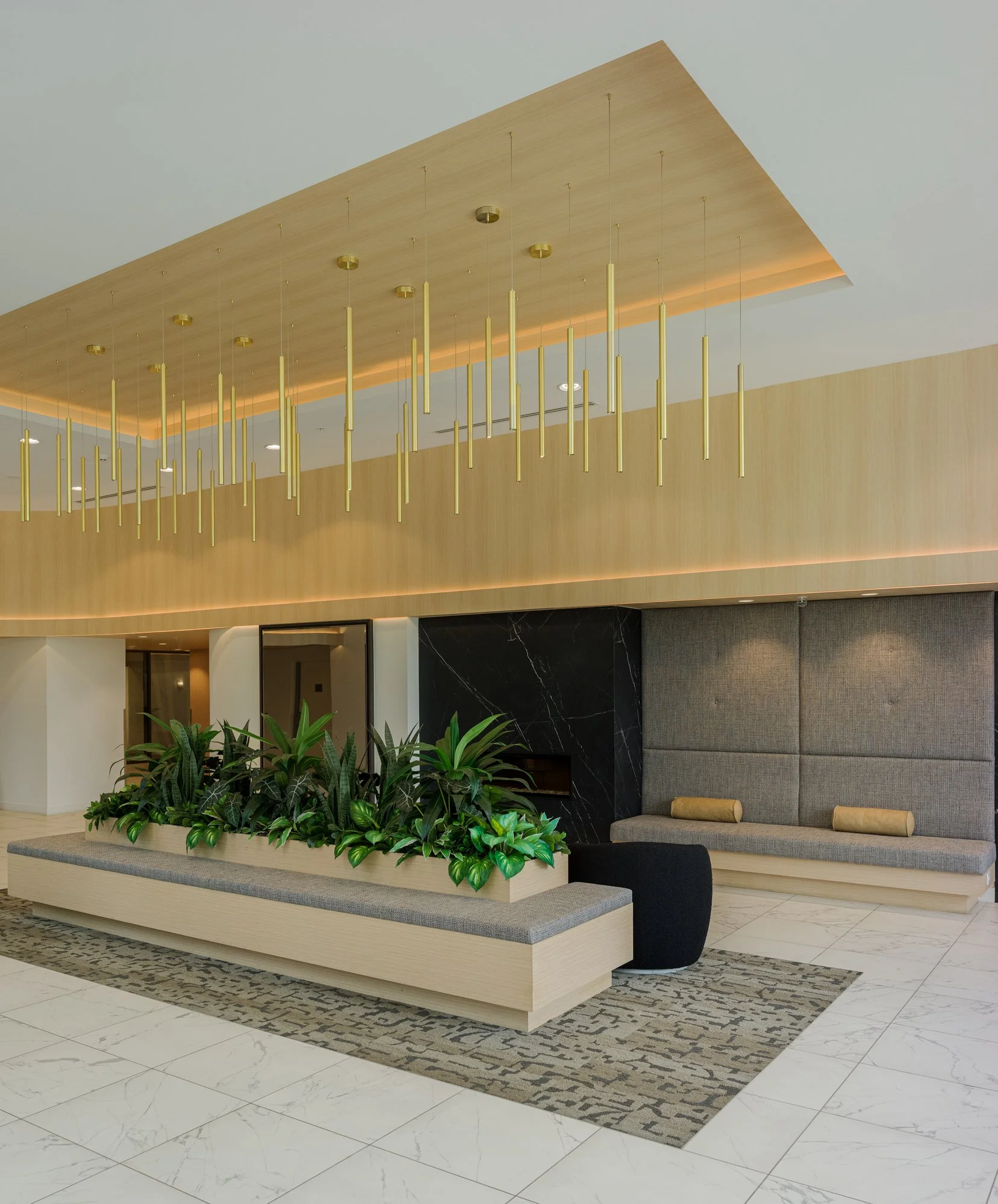 PRECIDIA COMMON AREAS-2.jpg
