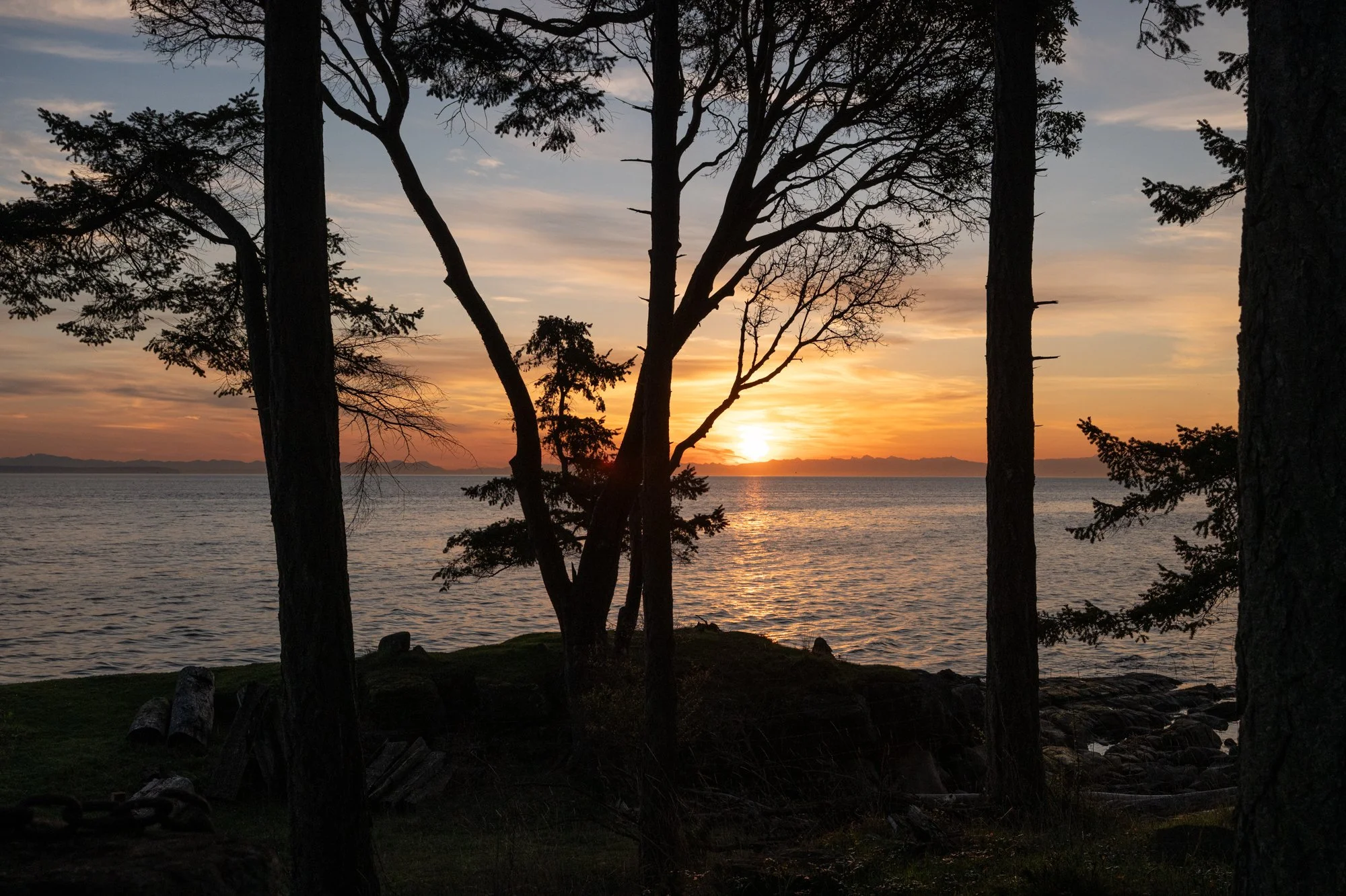 LOOKOUT APRIL WEB-3.jpg