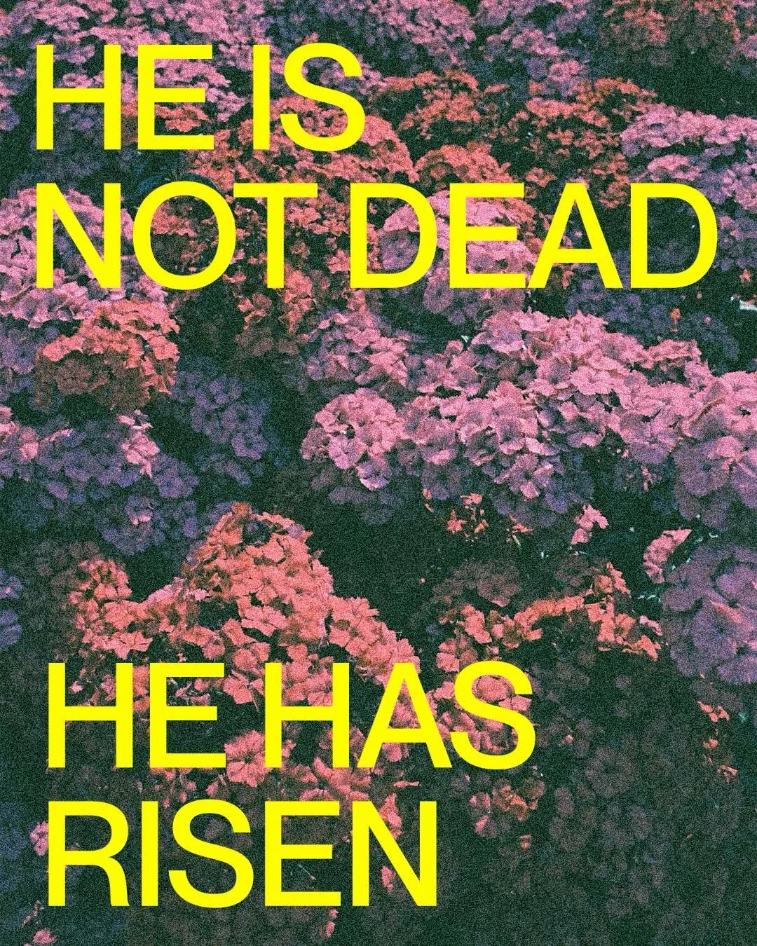 Happy Easter from The Heights Church! He has risen!