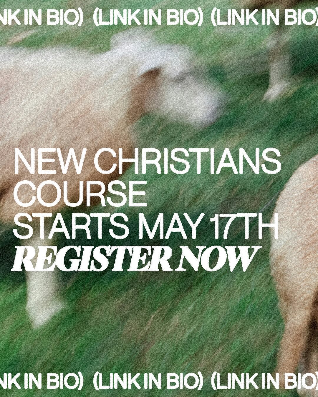 Sign up at the link in our bio!