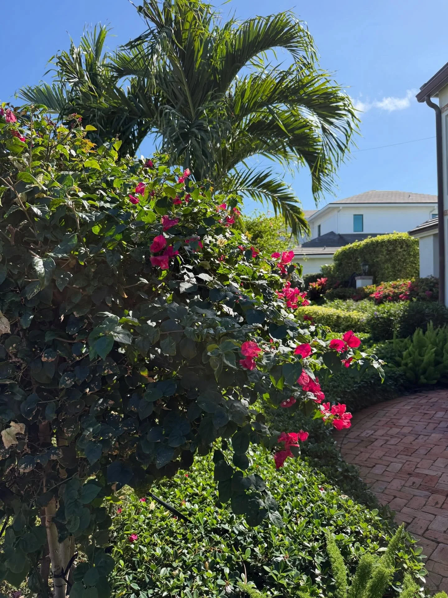 Thrilled to be working on a few Florida projects! Can&rsquo;t wait to show everyone how they turn out! #floridavibes #floridaprojects #dmdteam #dimackdesigns