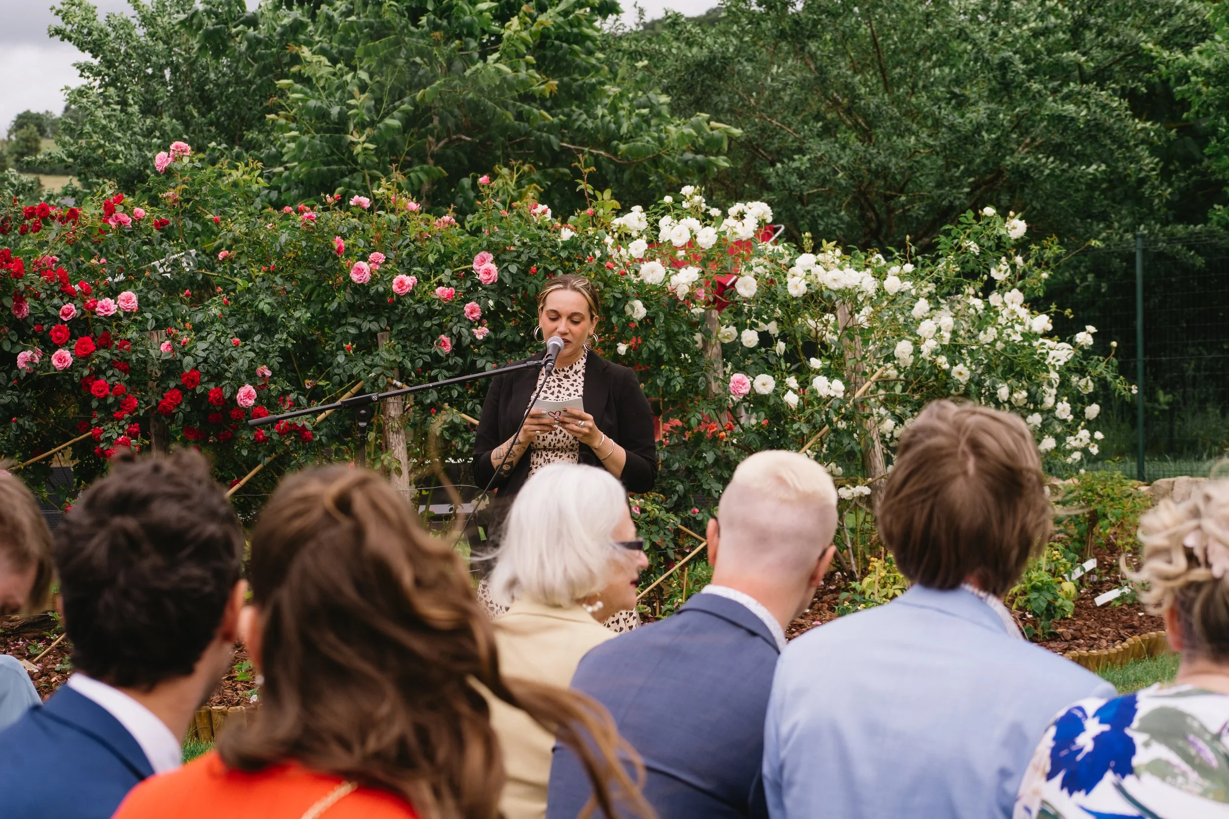 A woman giving a speech or reading at an outdoor event, standing in front of blooming pink and white roses, with an audience seated on the grass.