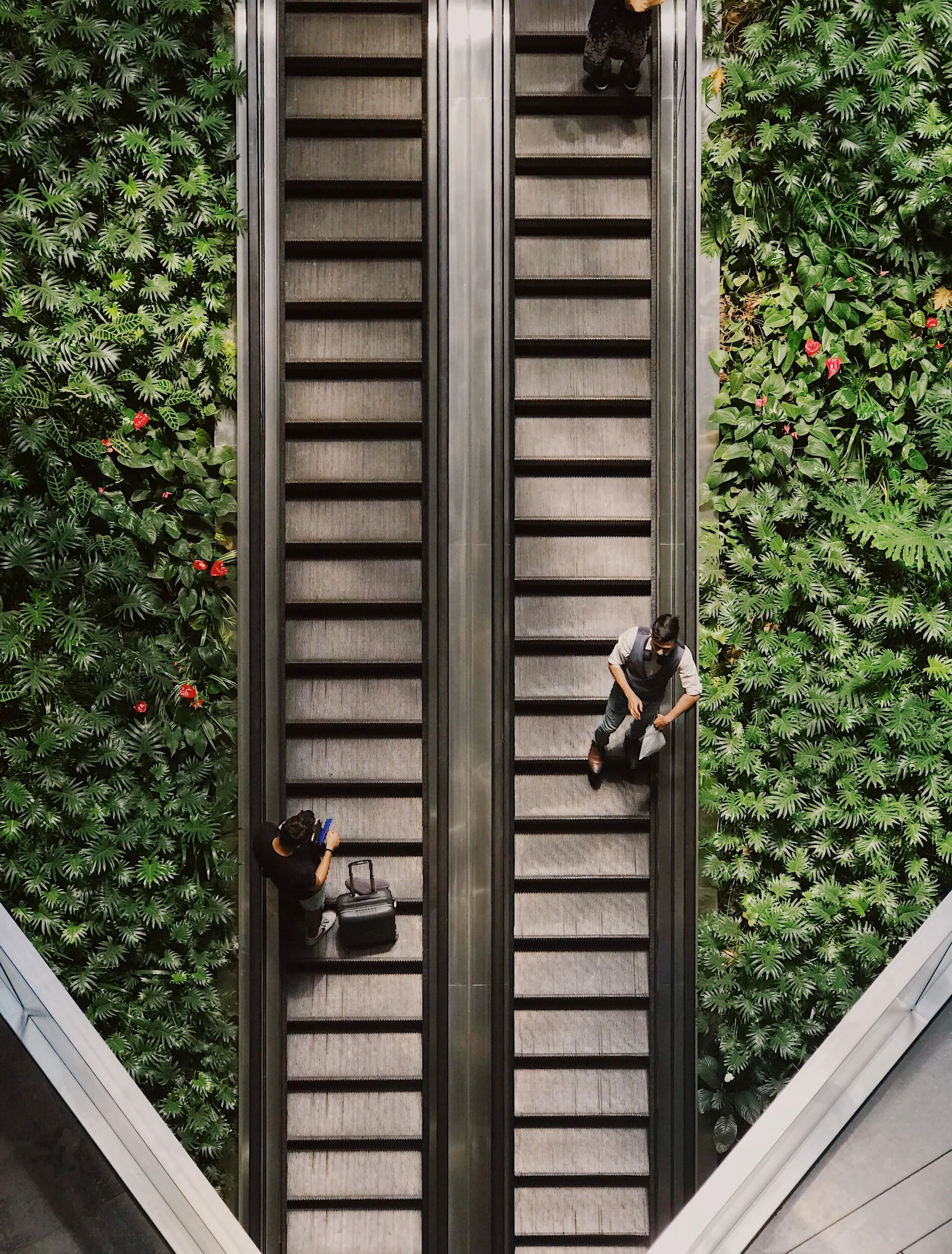 Top view of escalators with people and lush green plants on both sides.