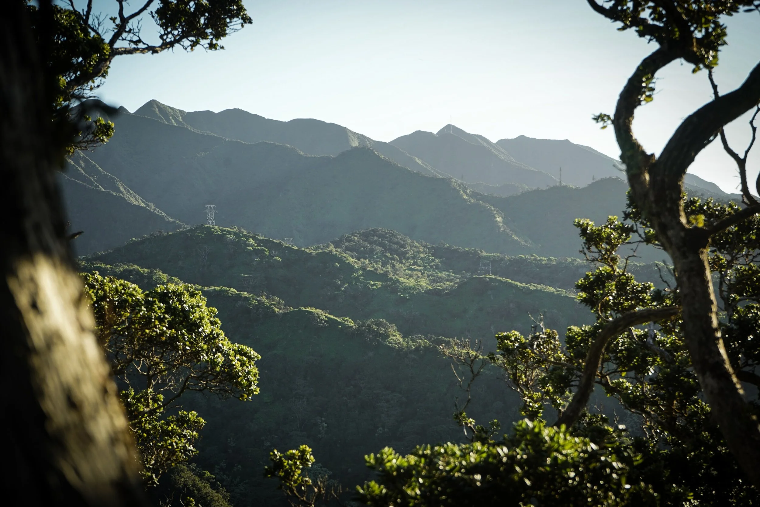 Mountain landscape with green foliage, trees framing the foreground, and distant hills in the background under a clear sky.