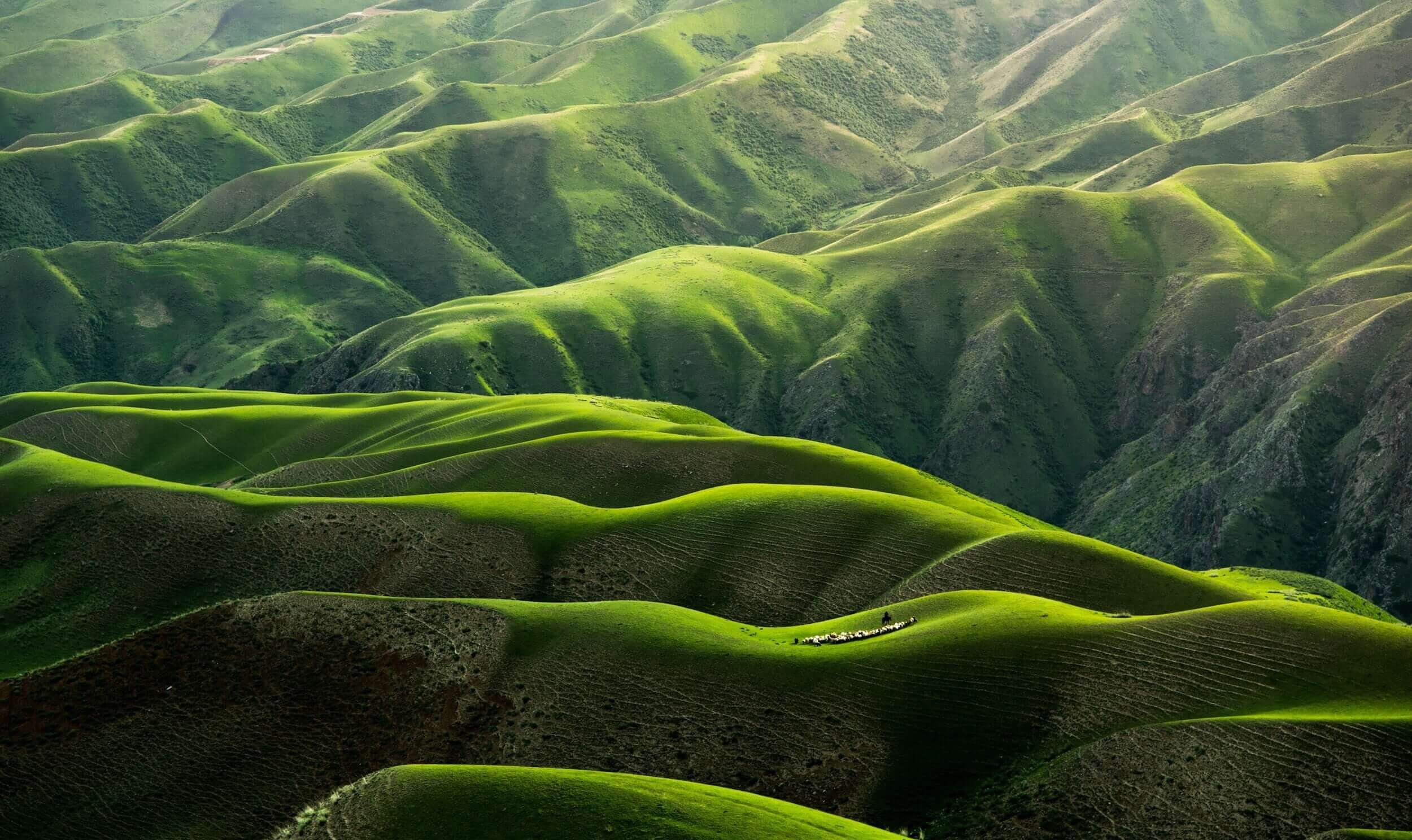 Rolling green hills with sunlight and shadows creating a picturesque landscape.