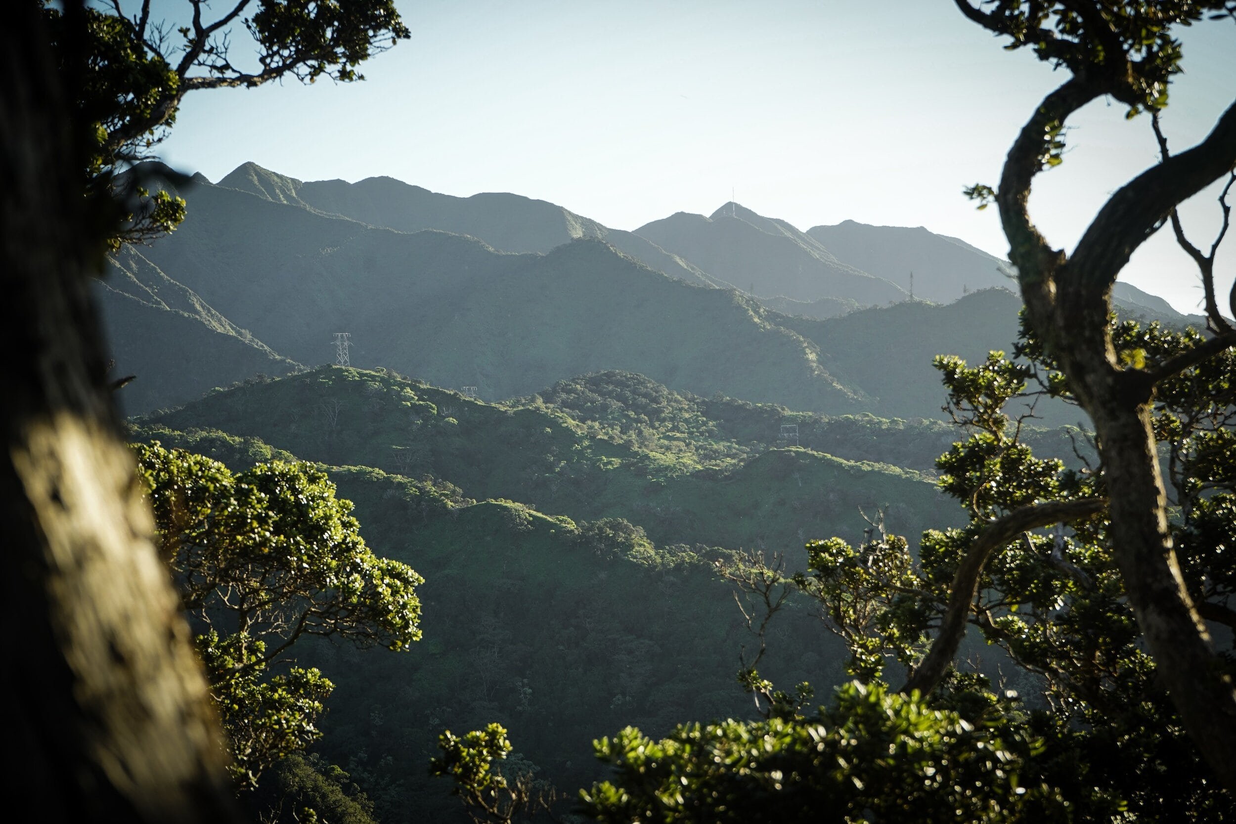 Mountainous landscape with green forests and power lines, framed by tree branches.