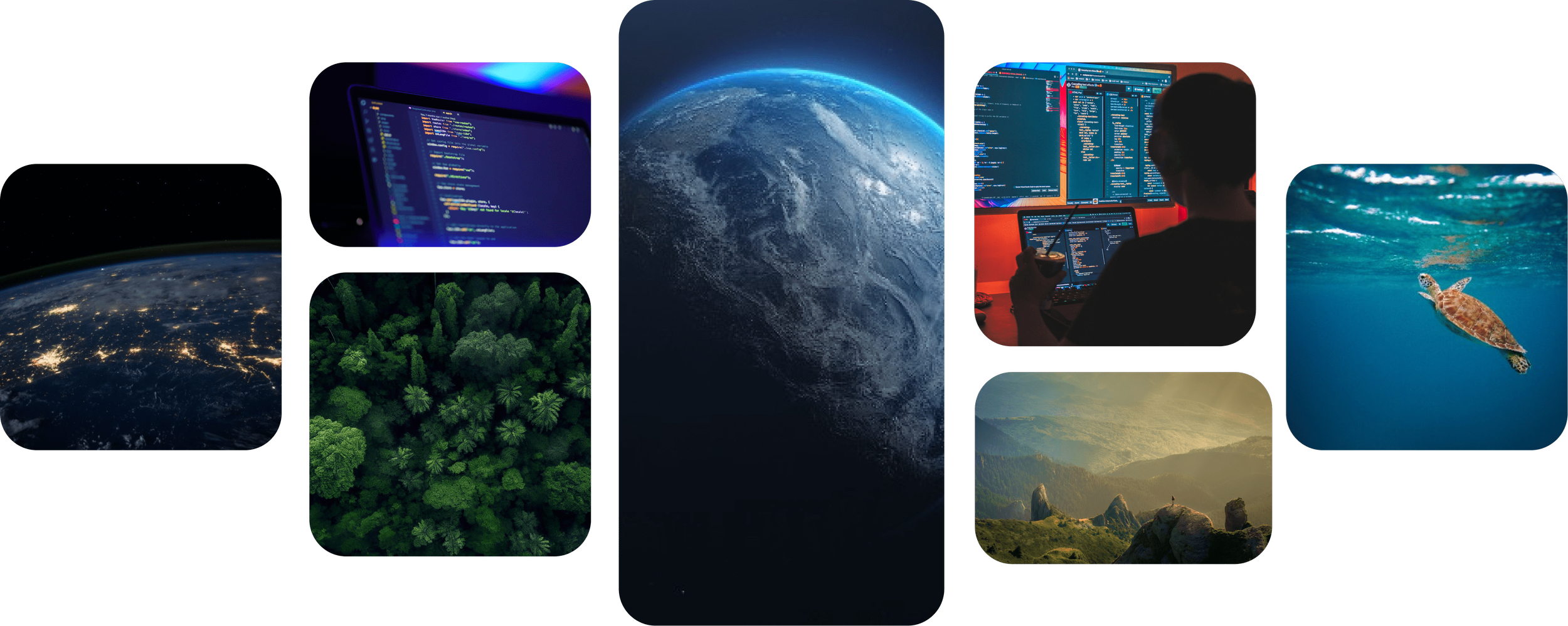 Collage of images including Earth from space, computer code on screens, a person working on computers, a sea turtle underwater, a forest canopy, and a mountainous landscape.