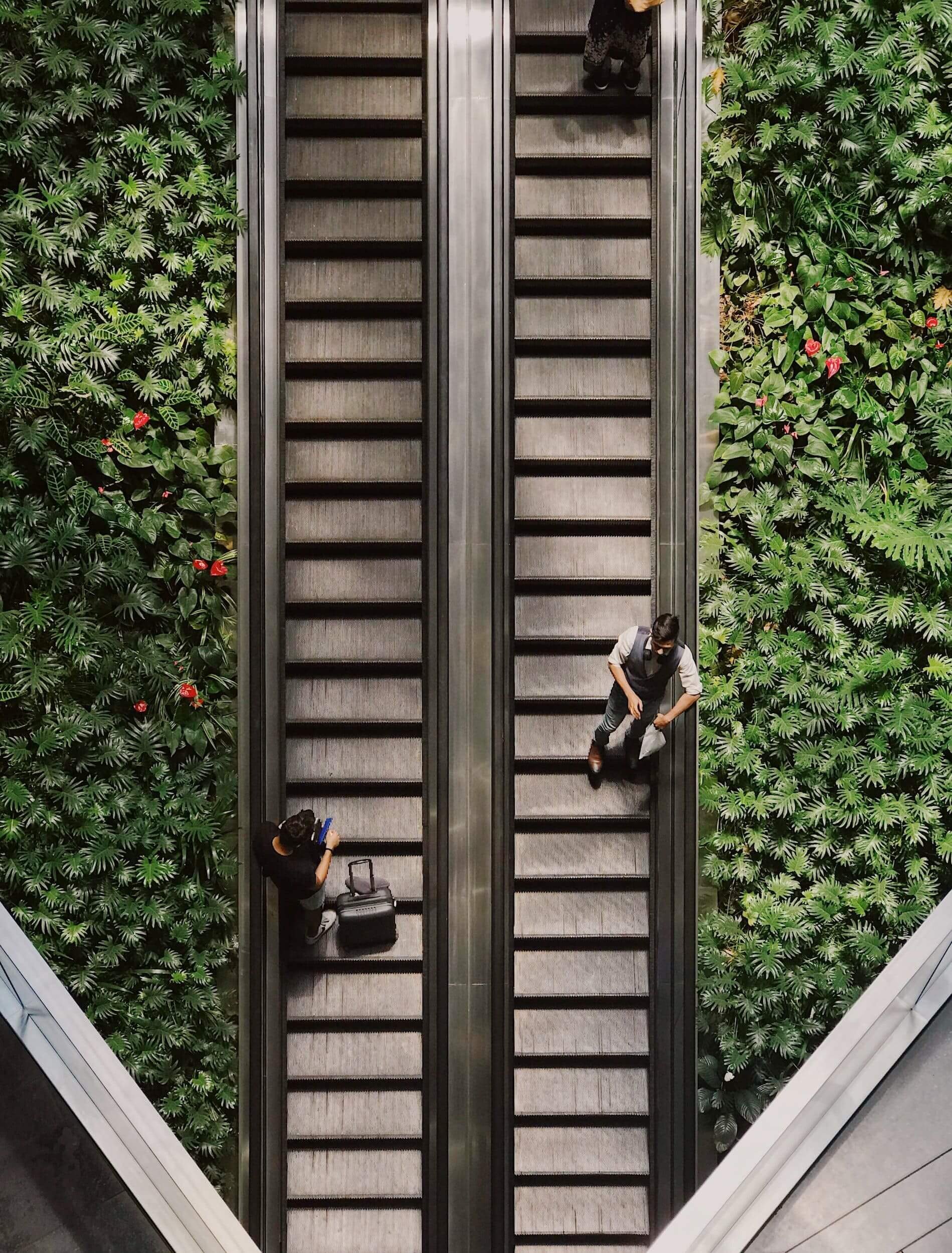 Top view of two escalators with greenery on both sides and three people using them.