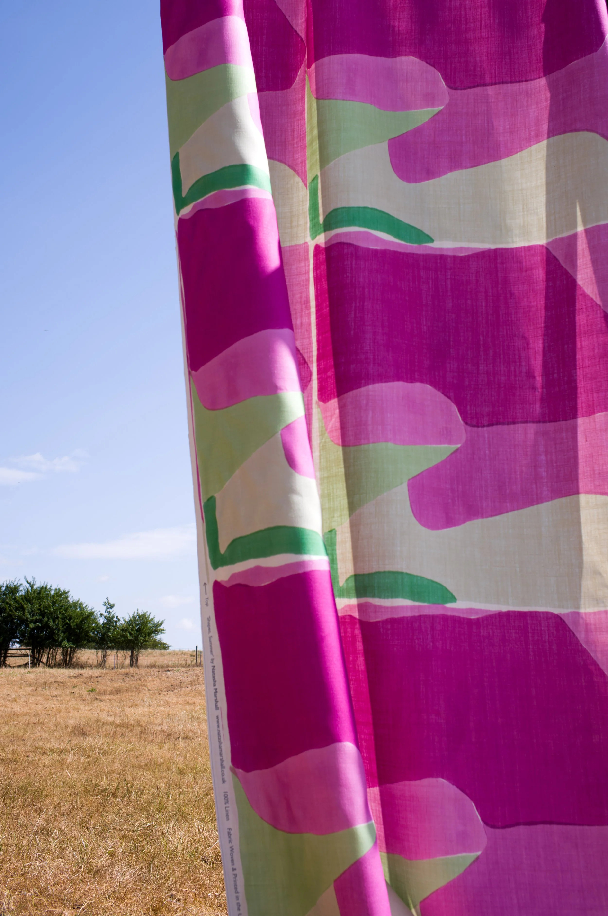 Summer Shapes 2 - Natasha Marshall Interior.JPG