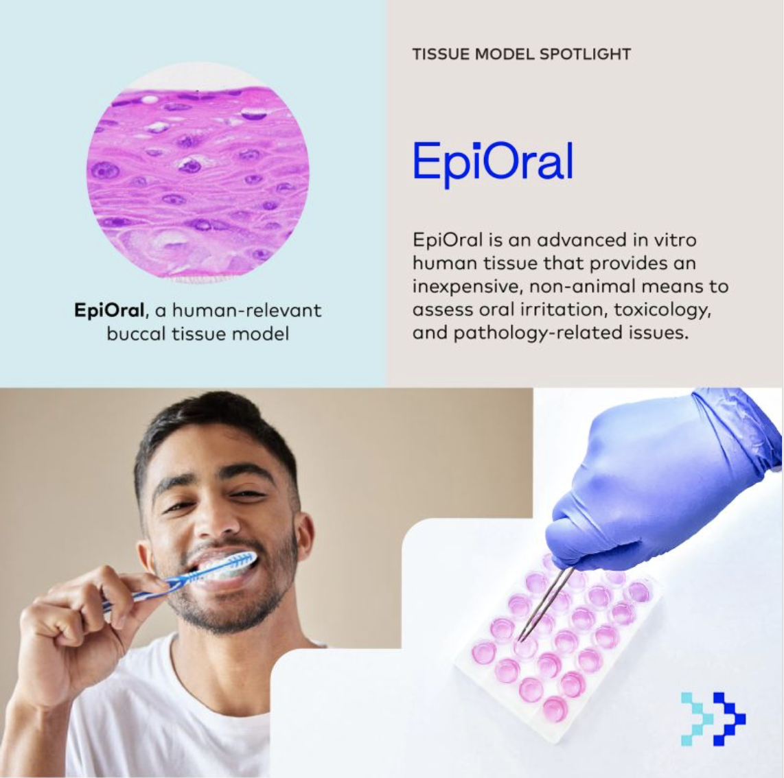 Screenshot 2023-05-31 at 10.08.16 PM.png