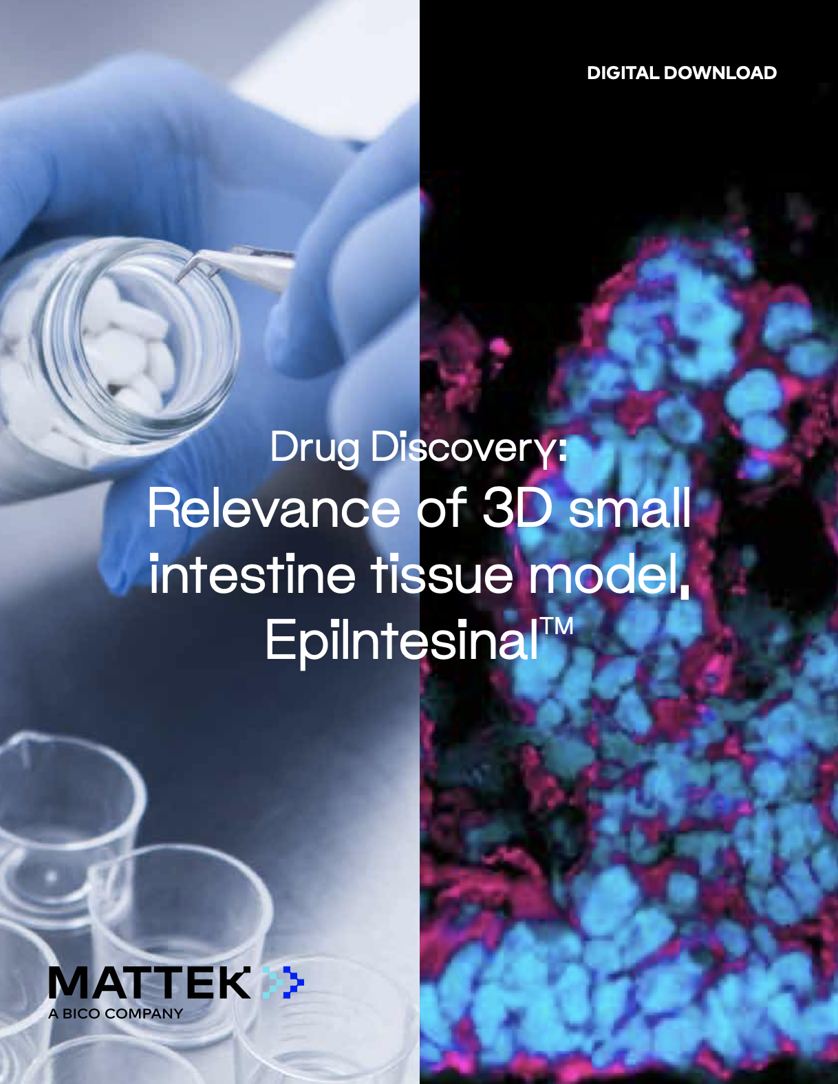 Screenshot 2023-05-31 at 10.42.51 PM.png