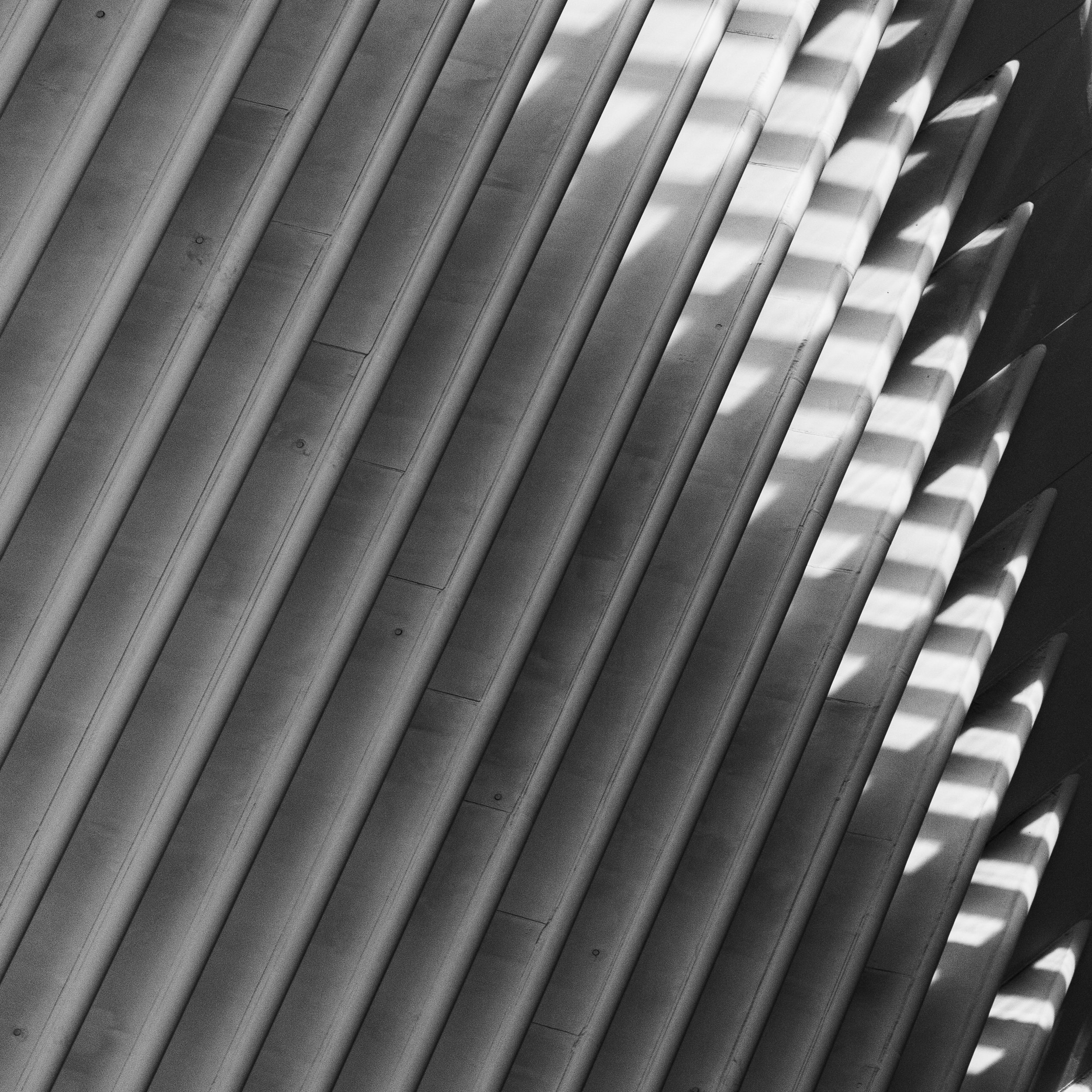 Monochrome Oculus