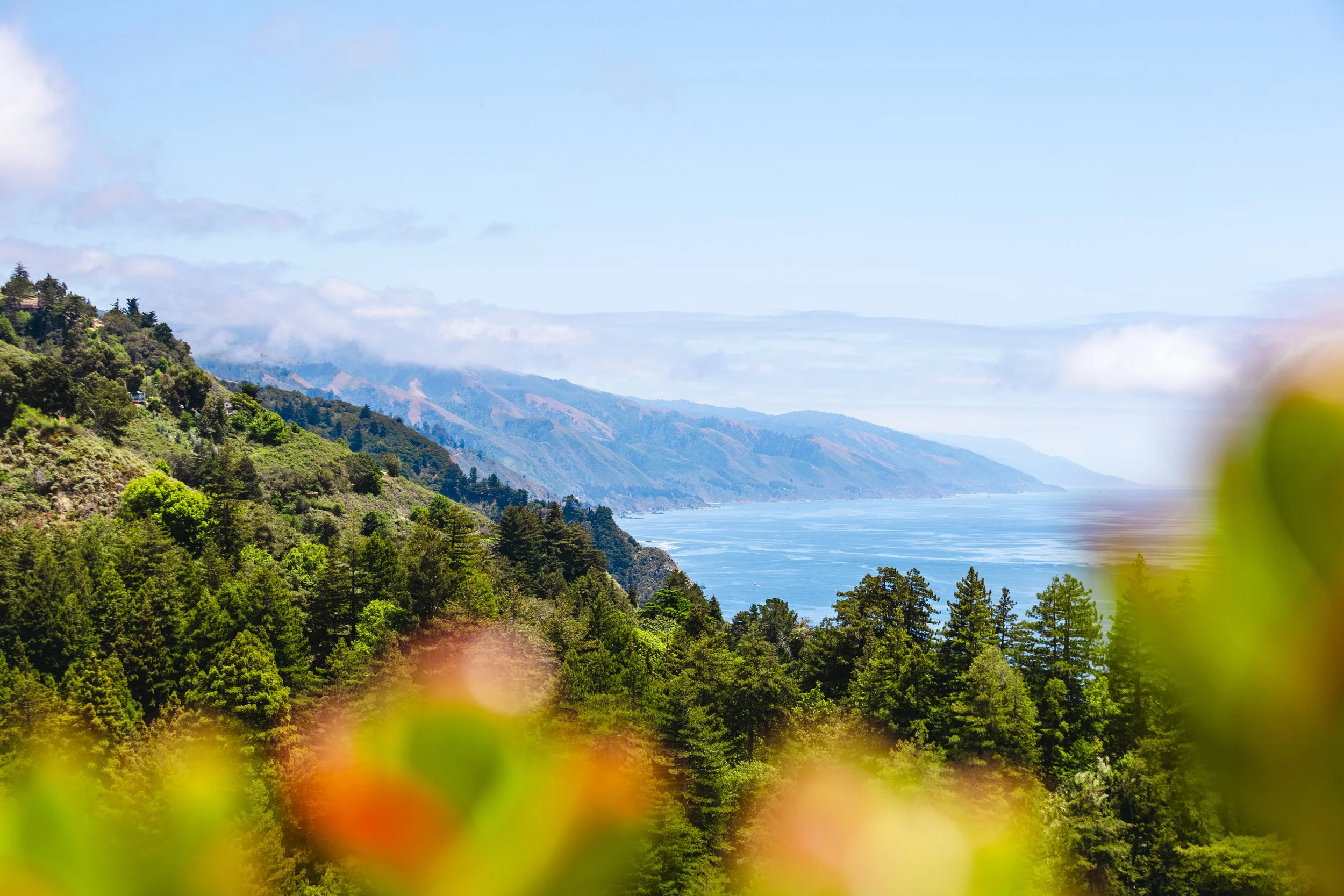 2026_05_25_DOC_COAST-HIGHWAY_CA-40.jpg