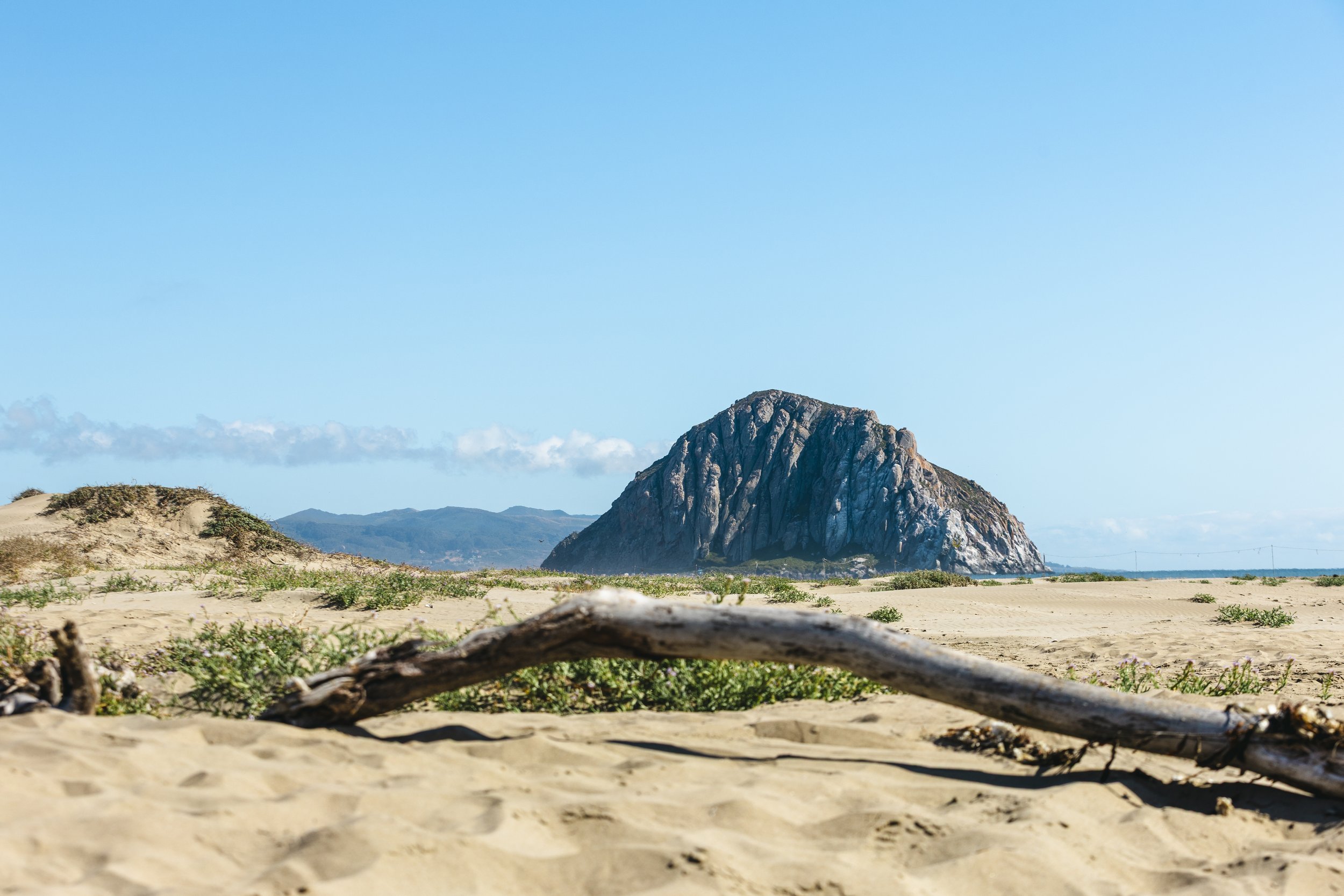 2026_05_25_DOC_COAST-HIGHWAY_CA-93.jpg