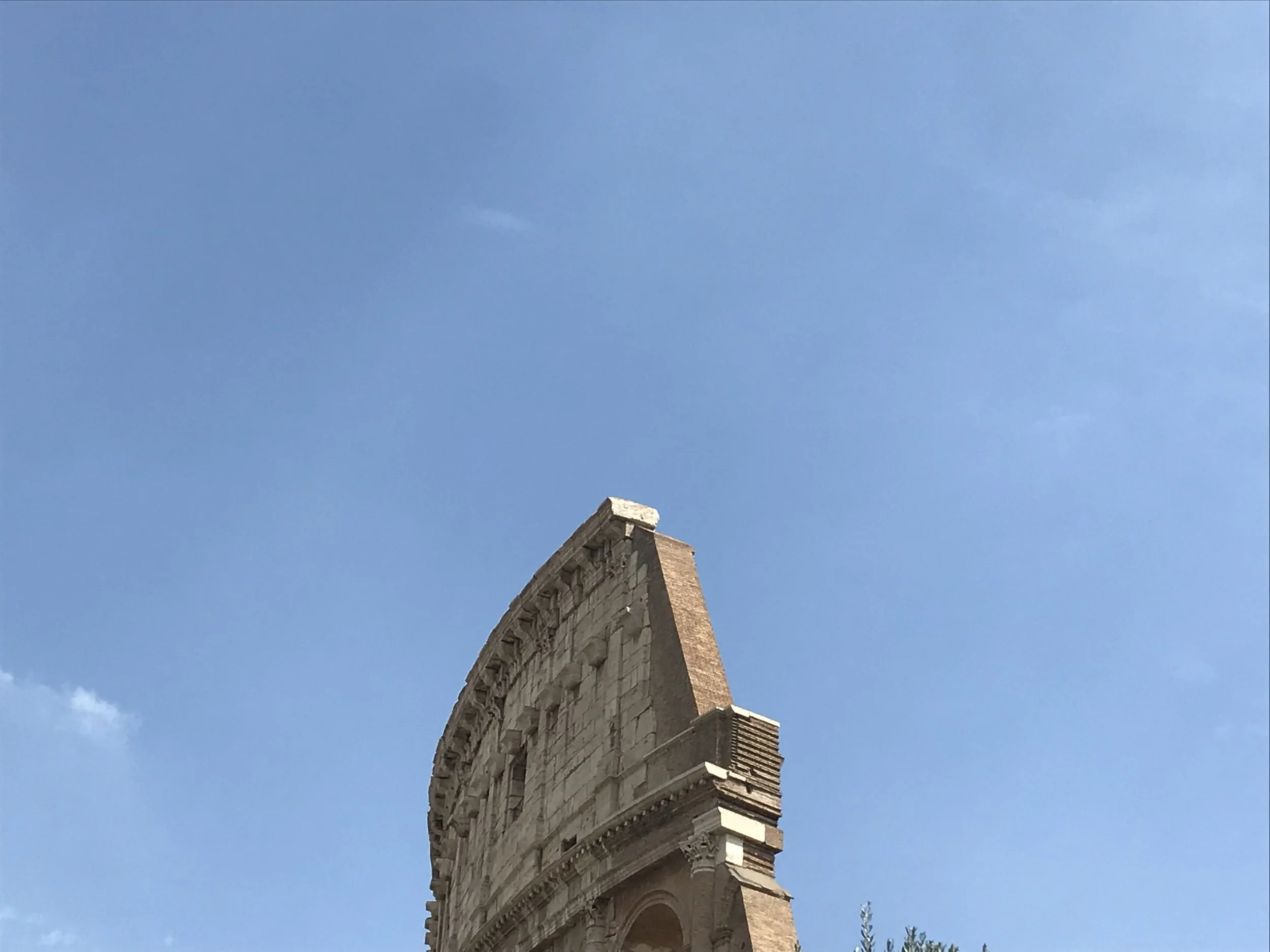 IMG_3856.jpeg