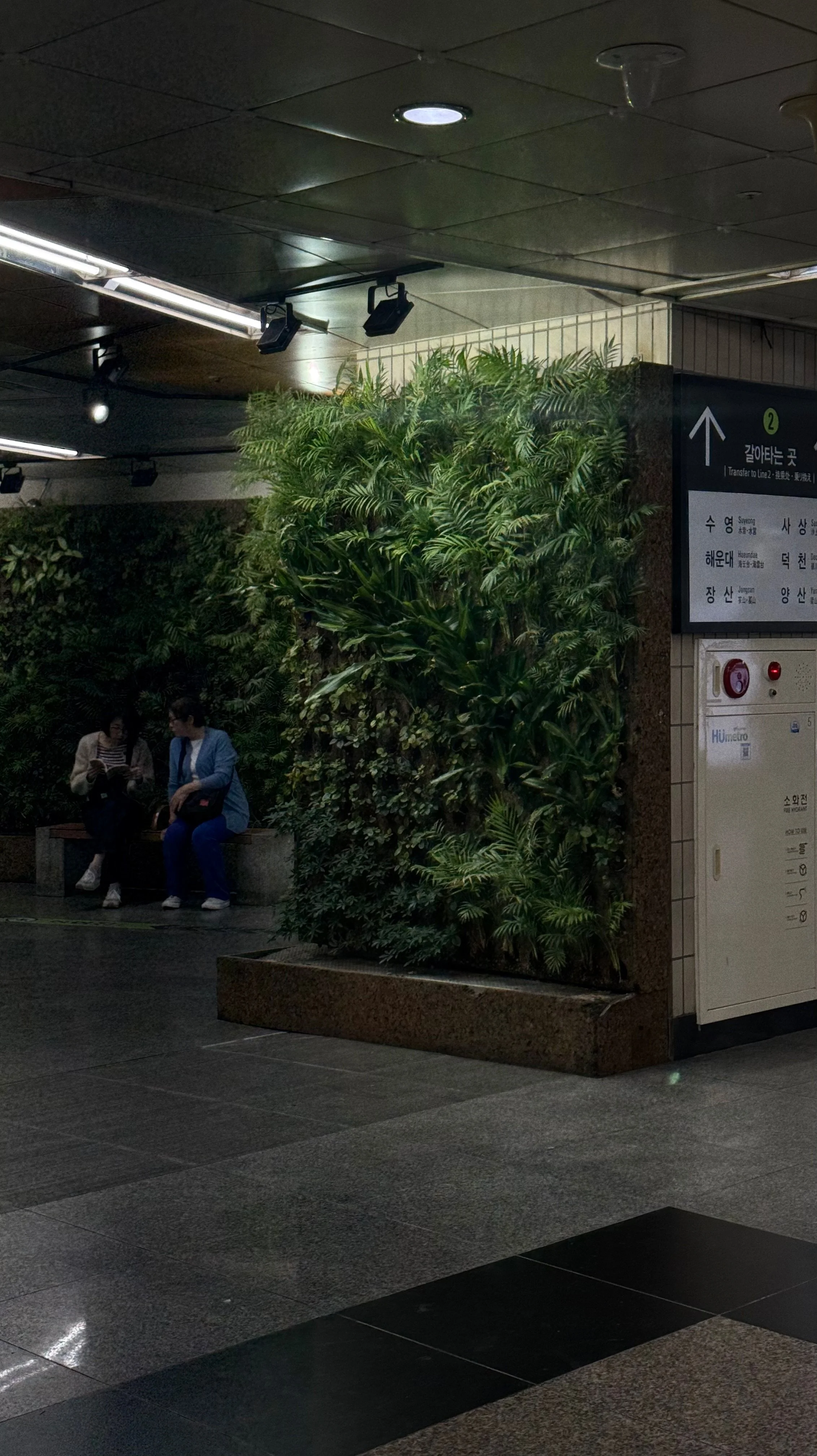 Consistency, fear of man, I’m not enough…