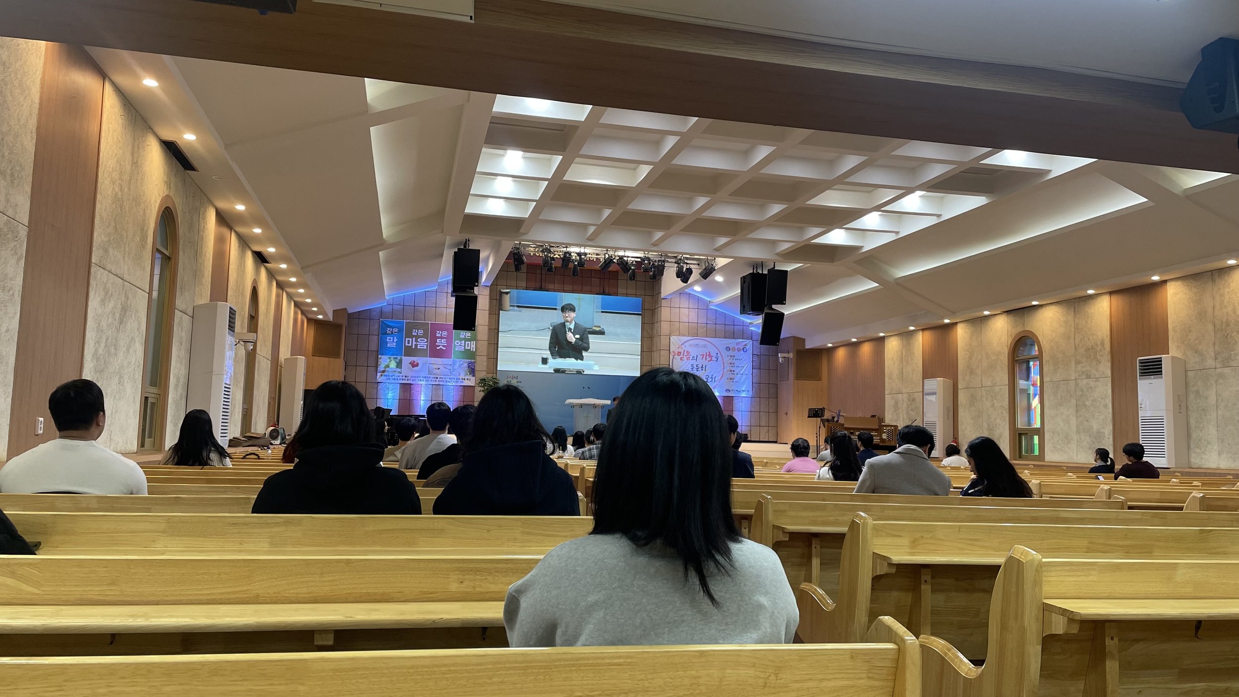 IMG_1080.jpeg