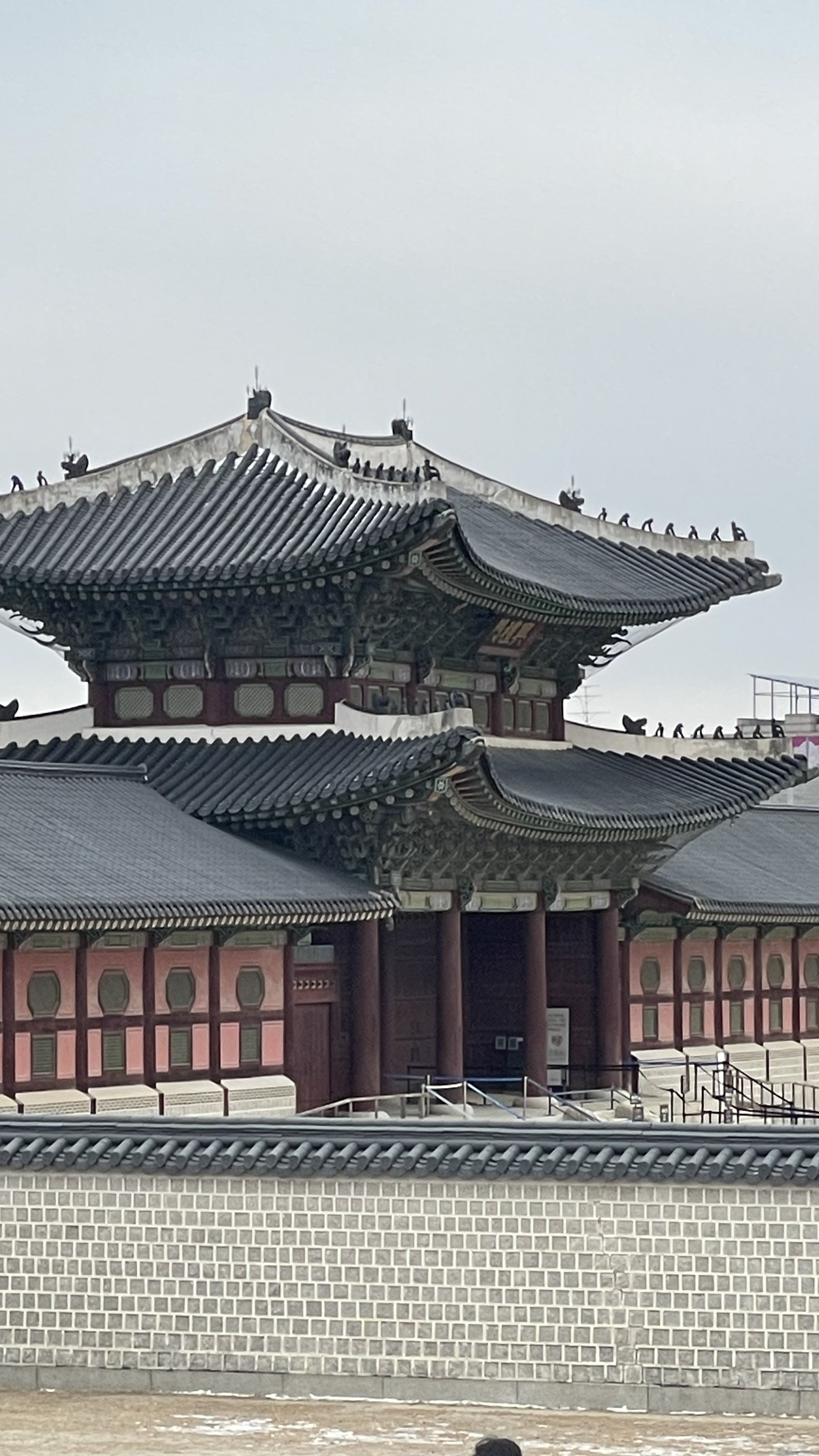 IMG_1225.jpeg