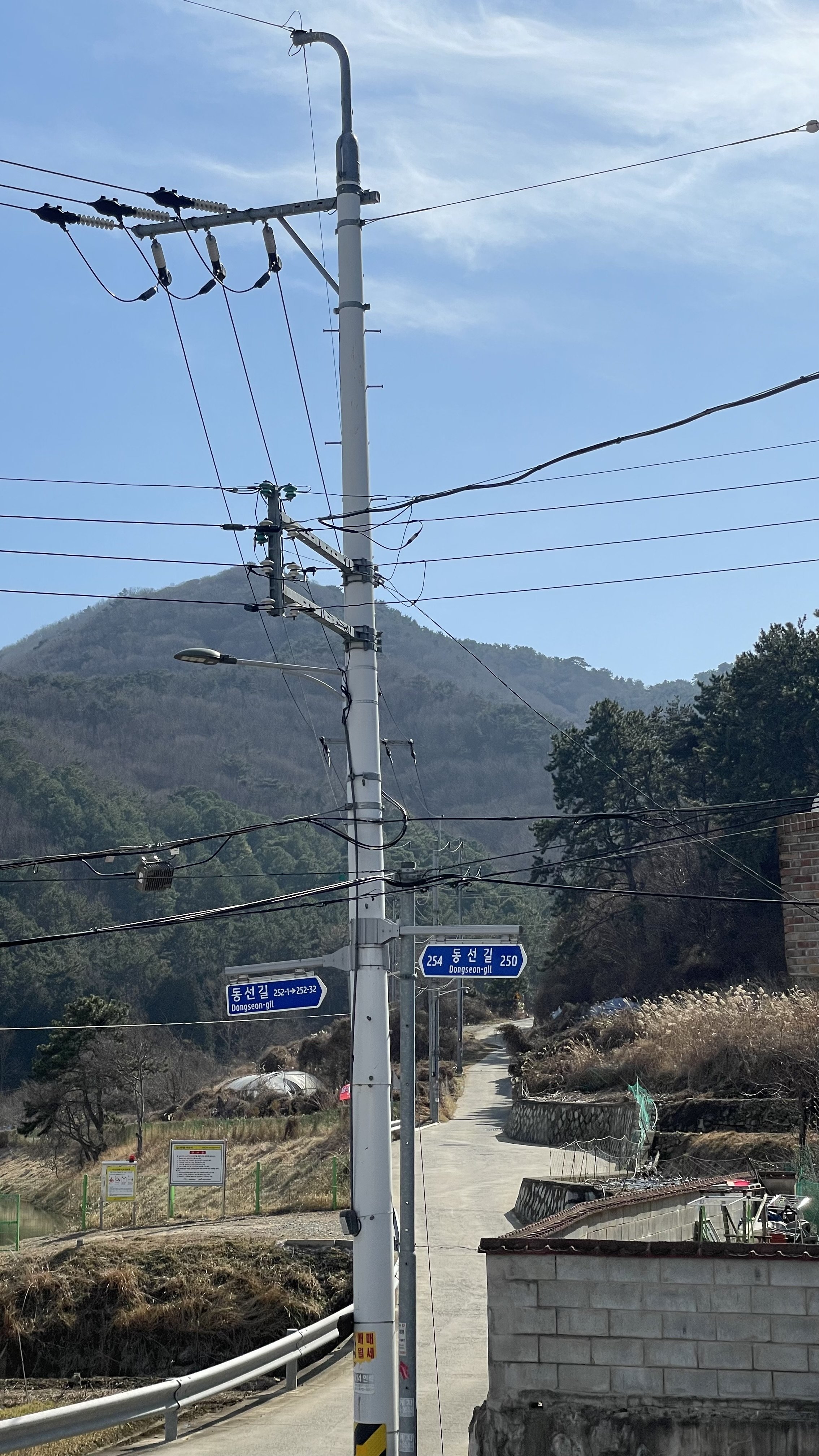 IMG_1665.jpeg