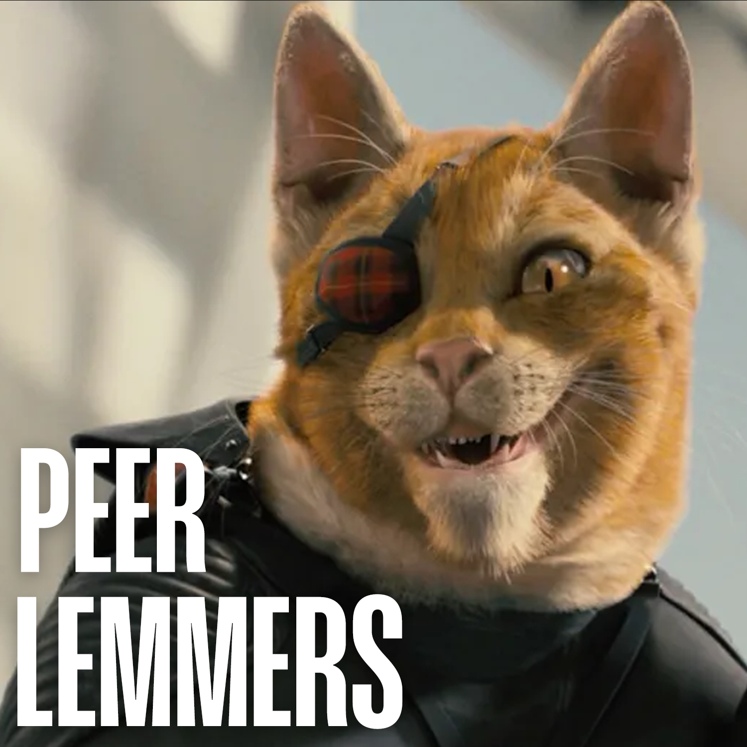 PEER_LEMMERS.png