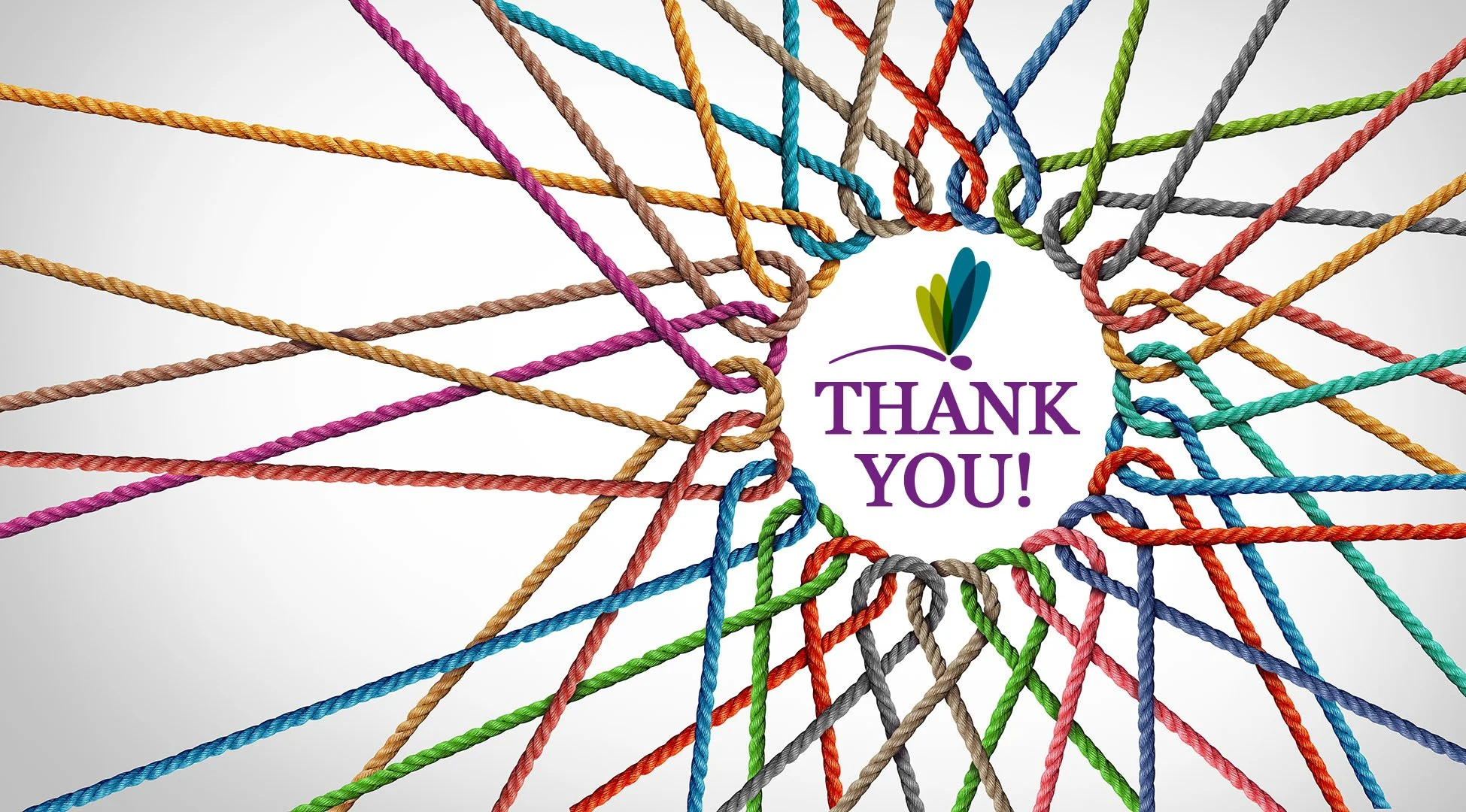 Honoring Our Champions: A Thank-You to Volunteers, Donors &amp; Allies