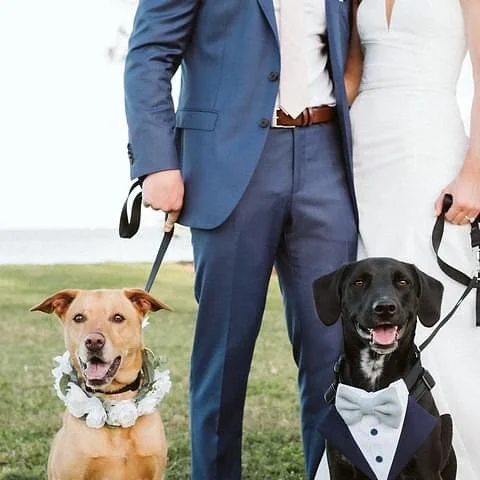 #FlashbackFriday to these absolute cuties 🥹💕 

Planning | Flawless Fetes
Pet Care | @fairytail_petcare 
Photo | @iamrebeccajordan 
Video | @kemarilynfilms 
Florals | @leafittousfloraldesign 
H&amp;MU | @femmeakoi 
Catering | @lynnscateringoftampa 
