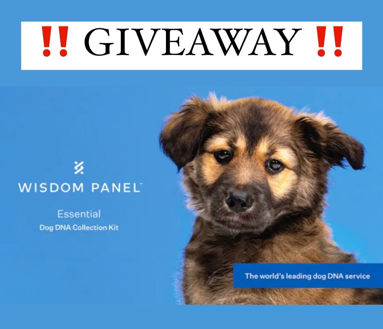 ‼️ GIVEAWAY ‼️

Are you curious or want to know what breed your furry best friend is?!?!

Enter to win a FREE @wisdompanel DNA test for your pup!!! 🐕

To Enter:

🐶 Follow @southerntailsforpreciouspaws

🐶 Like this post!

🐶 Tag a friend! (Each add