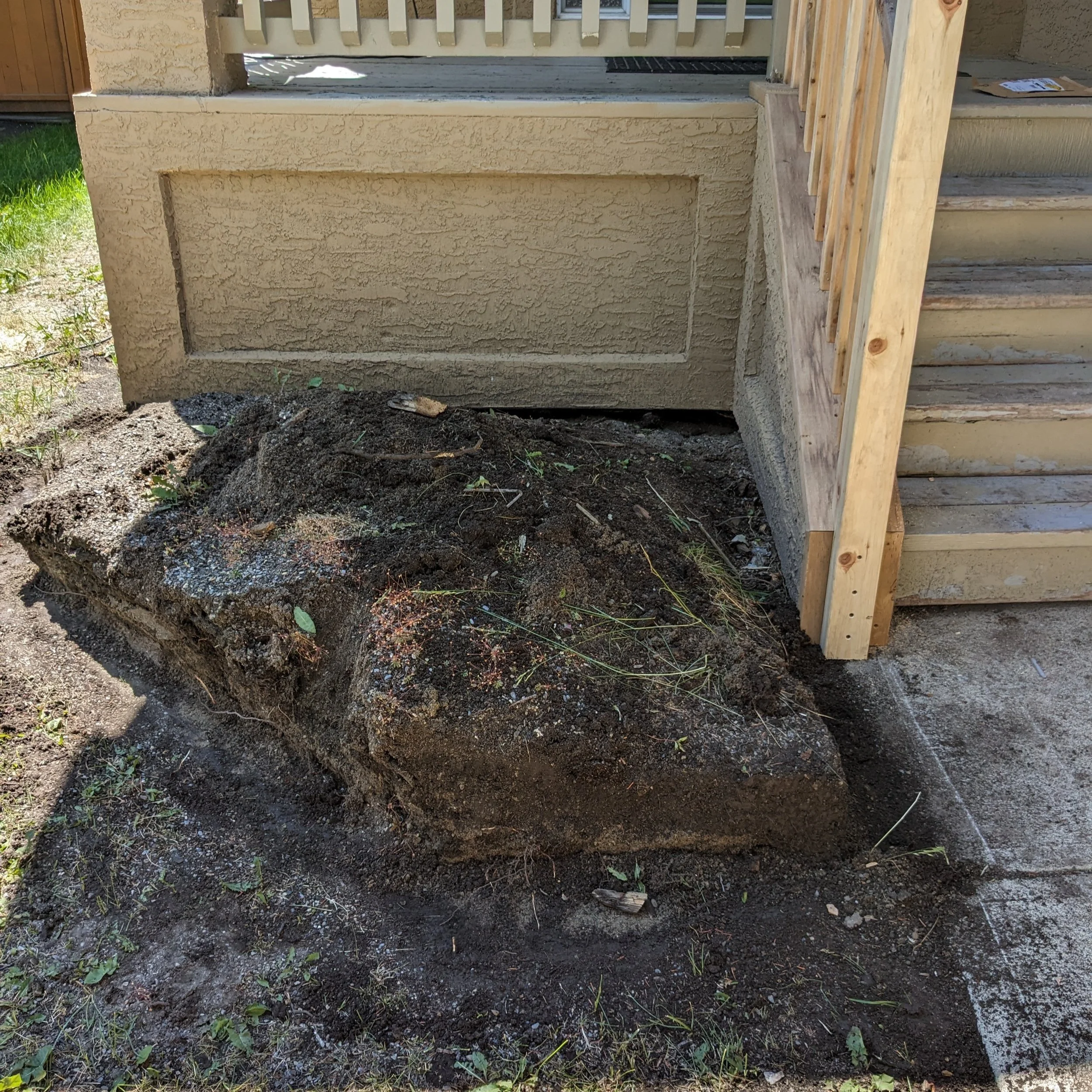 Before - Flower Bed