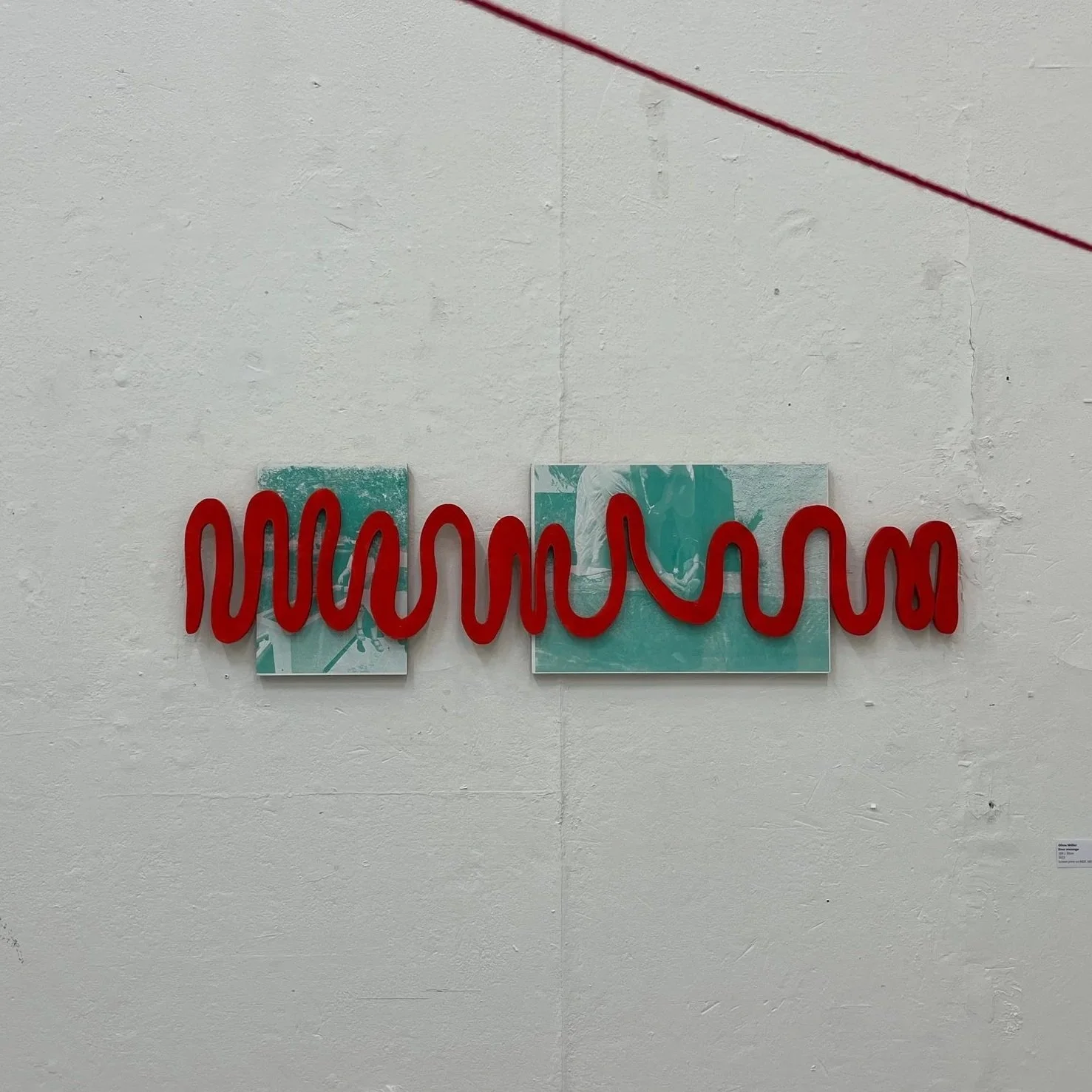 Do you understand me?