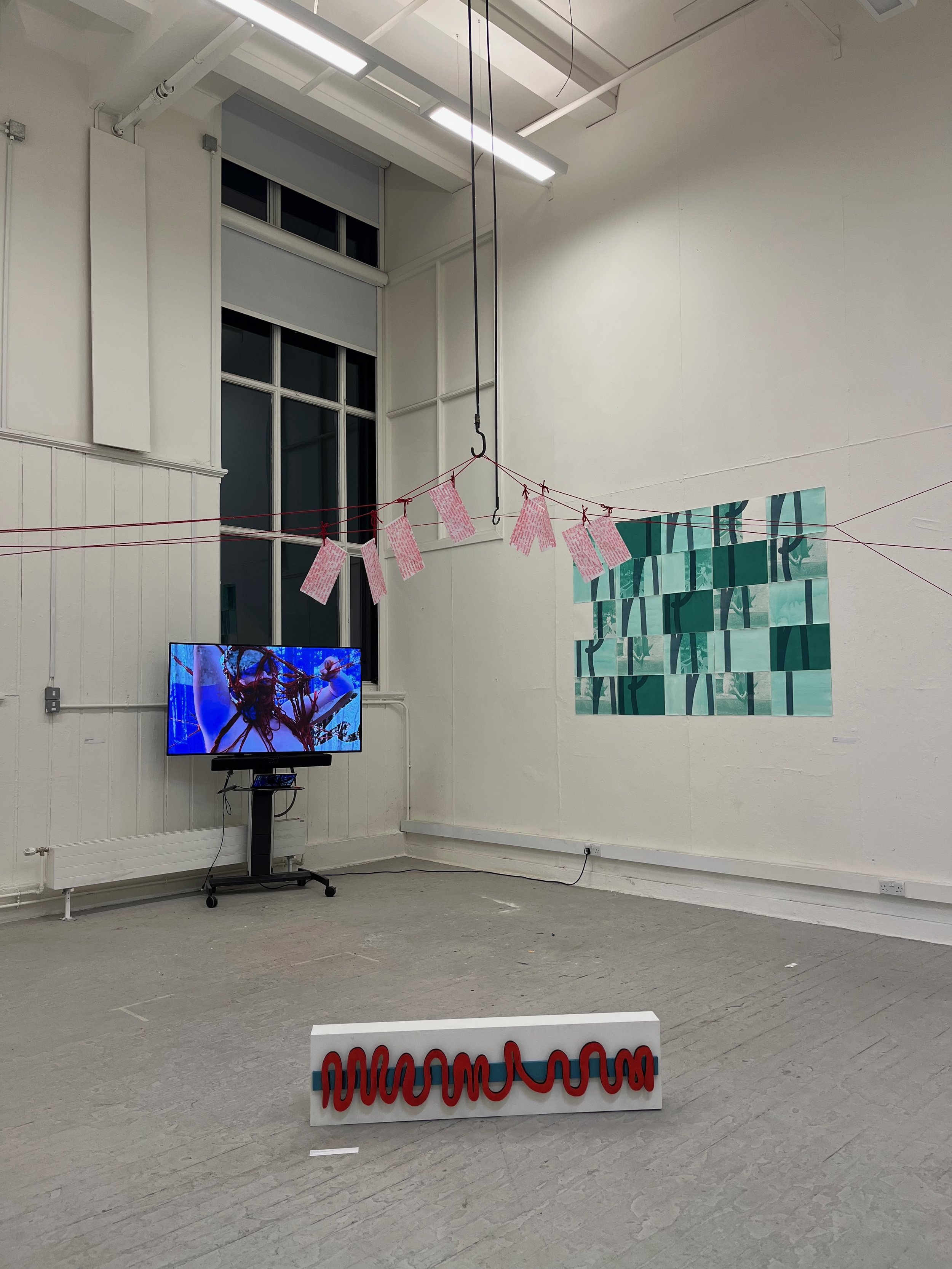Installation view at event '(Un)Familiarity', November 2024