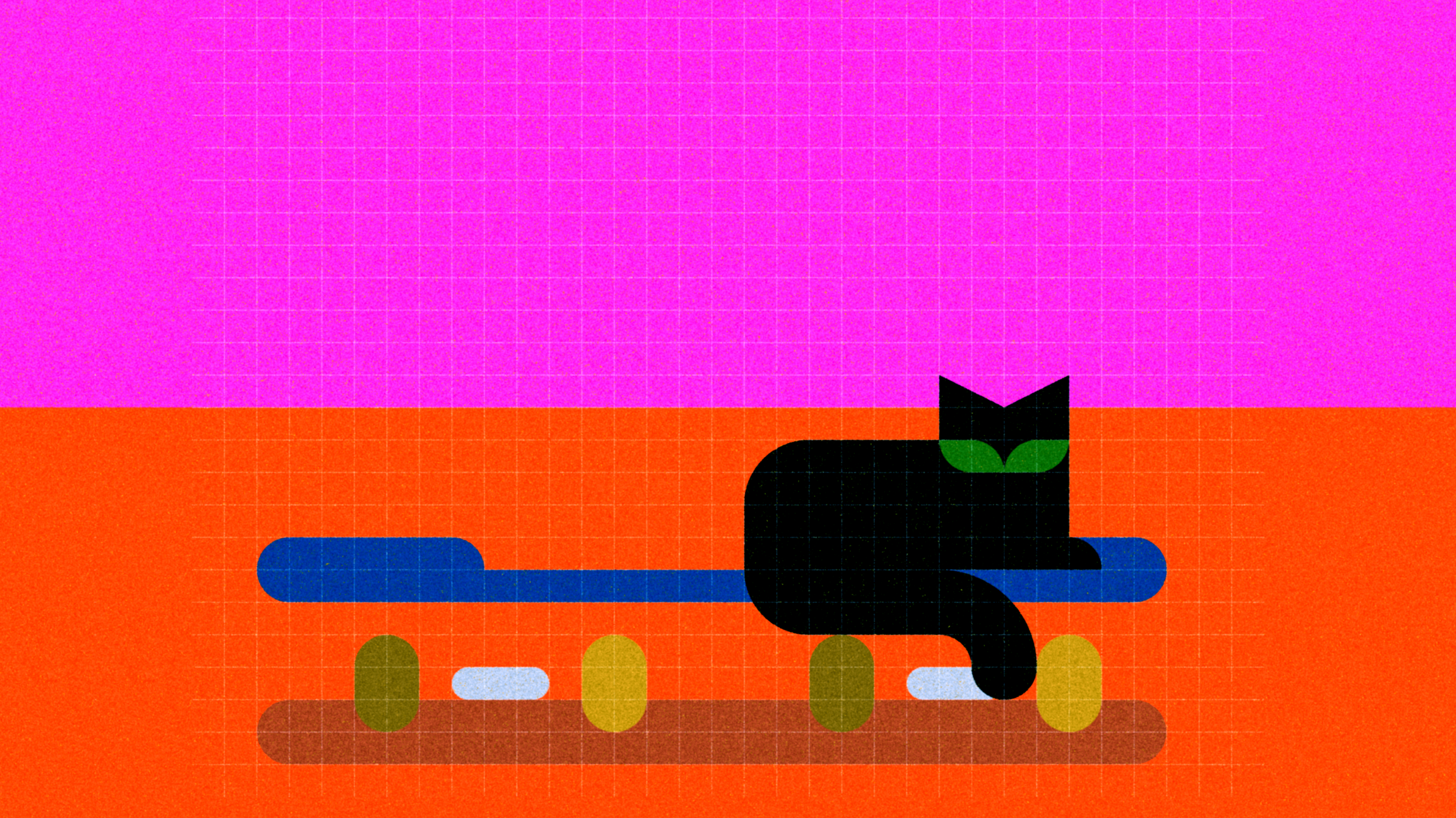 nm-project-animals-2_16-9.png