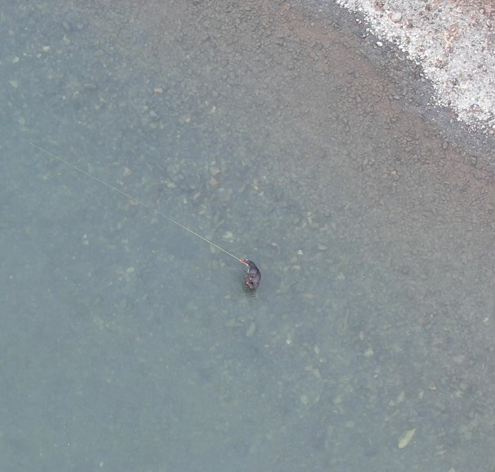 Winter program in AK #swing #pow :)