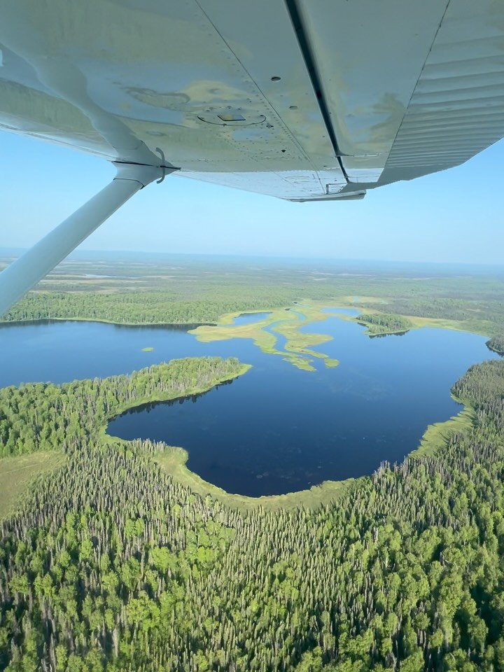 This remote fishing honey hole is completely overtaken by Northern Pike. It&rsquo;s a fly to only destination and a great place to chuck/strip the 🐀 fly and feed 🦅. Shoutout to @alaskafloatplane for many years of safe Alaskan bush drop offs and @fa