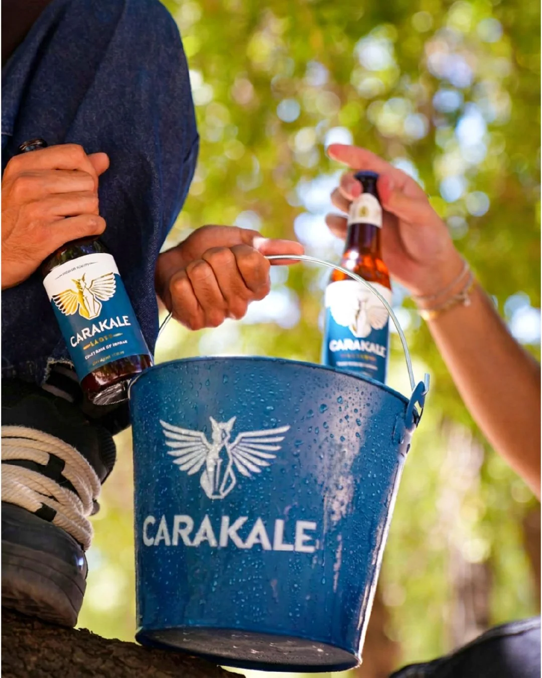 Take it outside.
Take it easy.
Take a Carakale anywhere! 

#Carakale #CarakaleLager #BeerofJordan #Sun #Summer