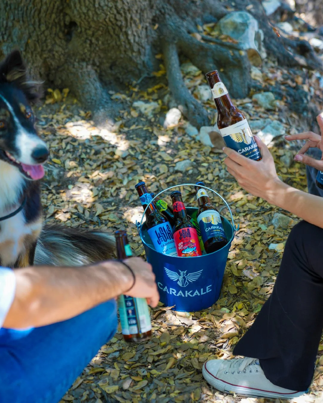 Good vibes, happy pups, and a cold Carakale Lager!

#Carakale #CarakaleLager #BeerofJordan #Sun #Summer