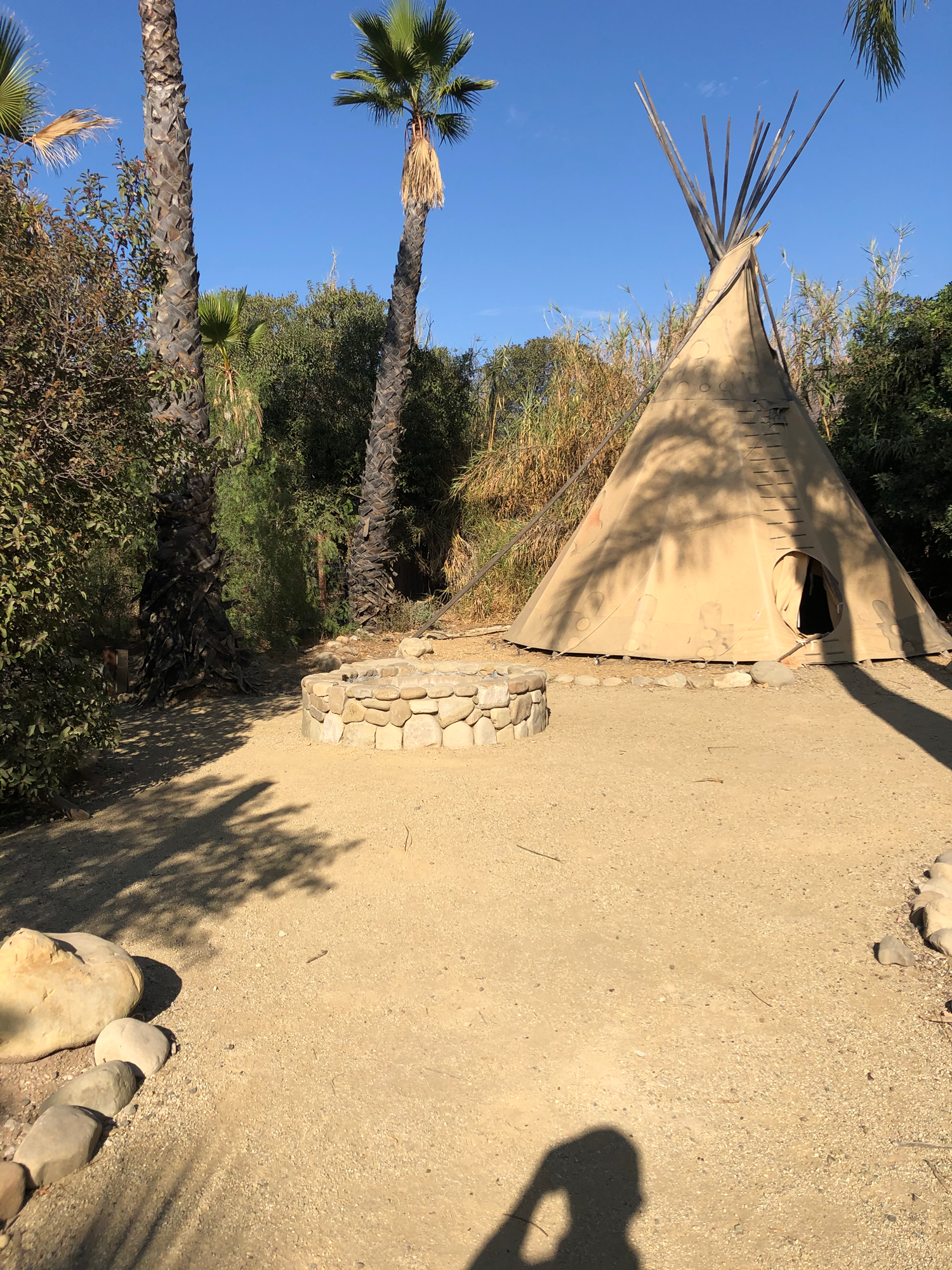 Teepee next to a stone fire pit surrounded by palm trees and bushes under a blue sky.