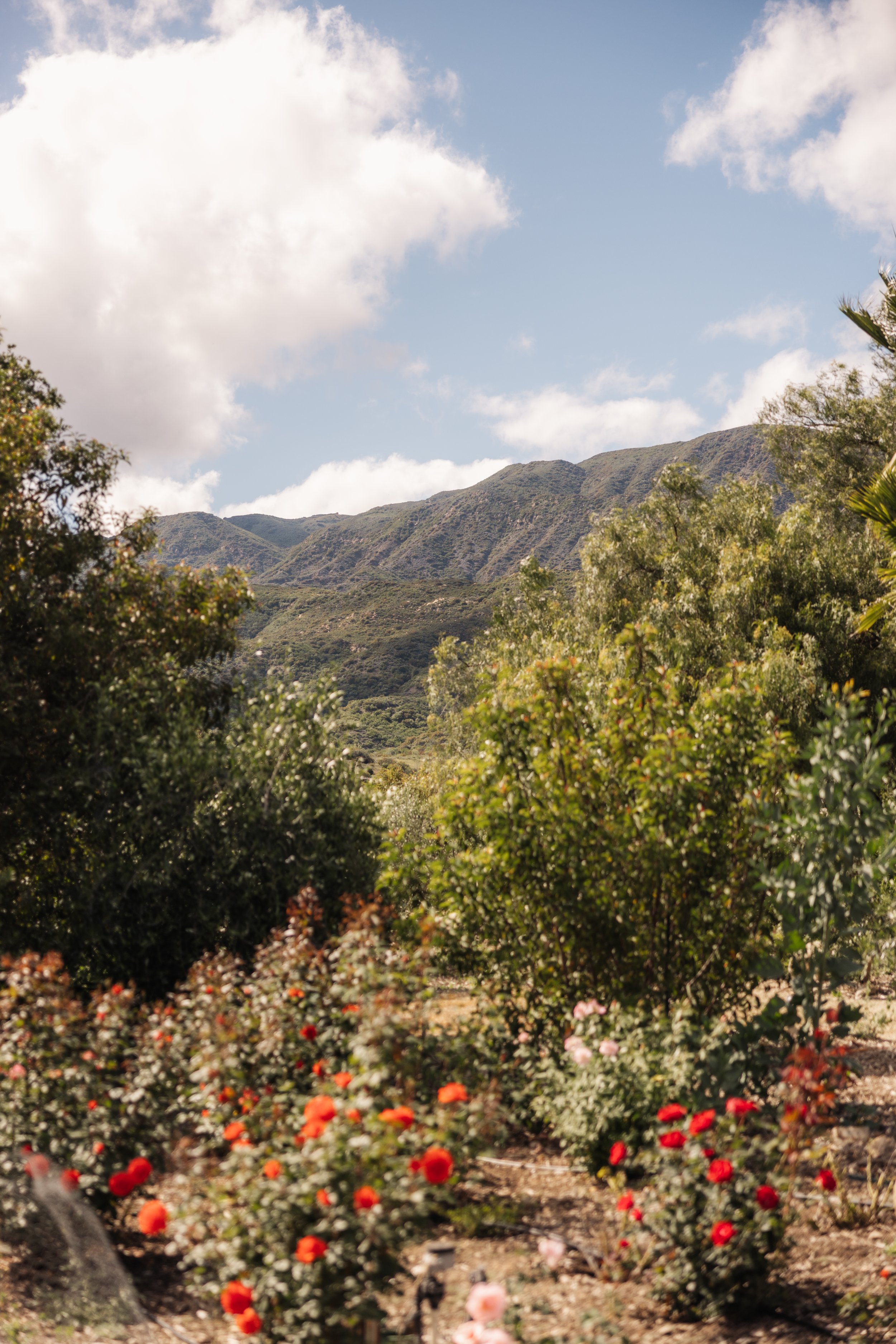 Planning a Corporate Retreat in Ojai: Your Complete Planning Guide
